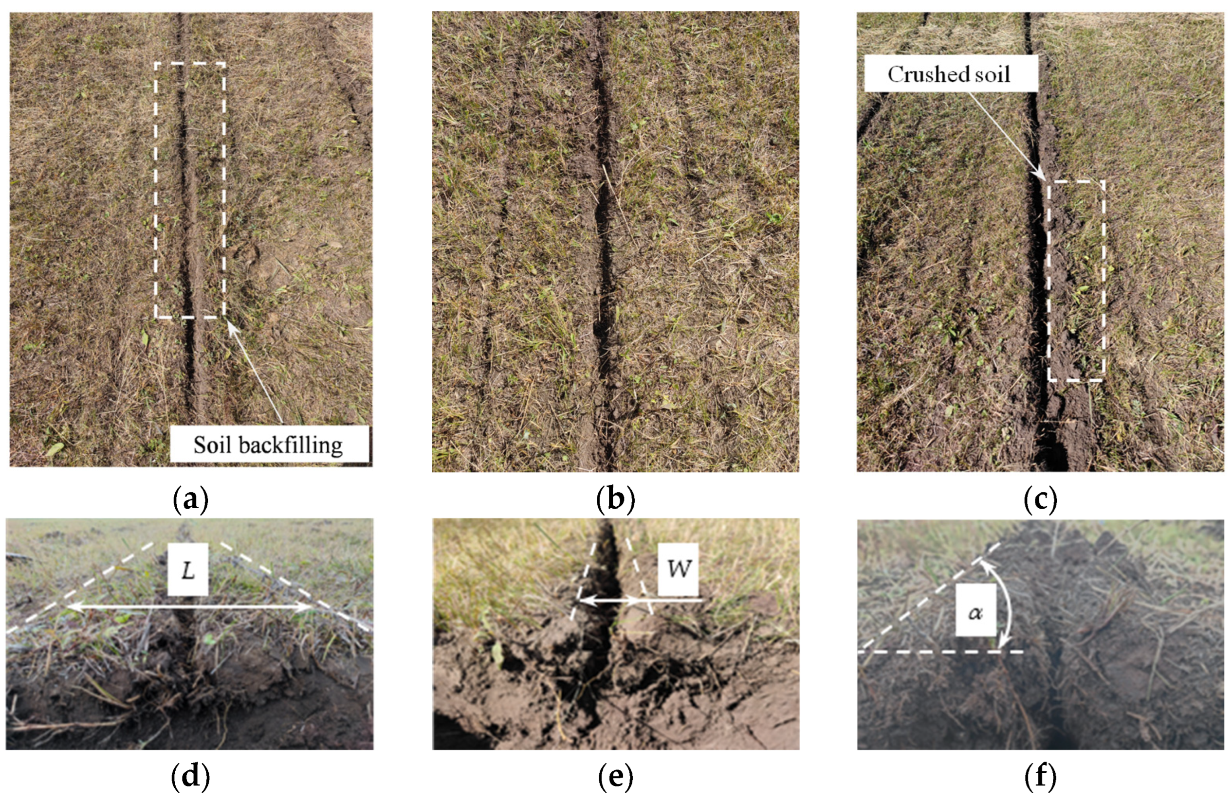 Agriculture 15 00487 g016