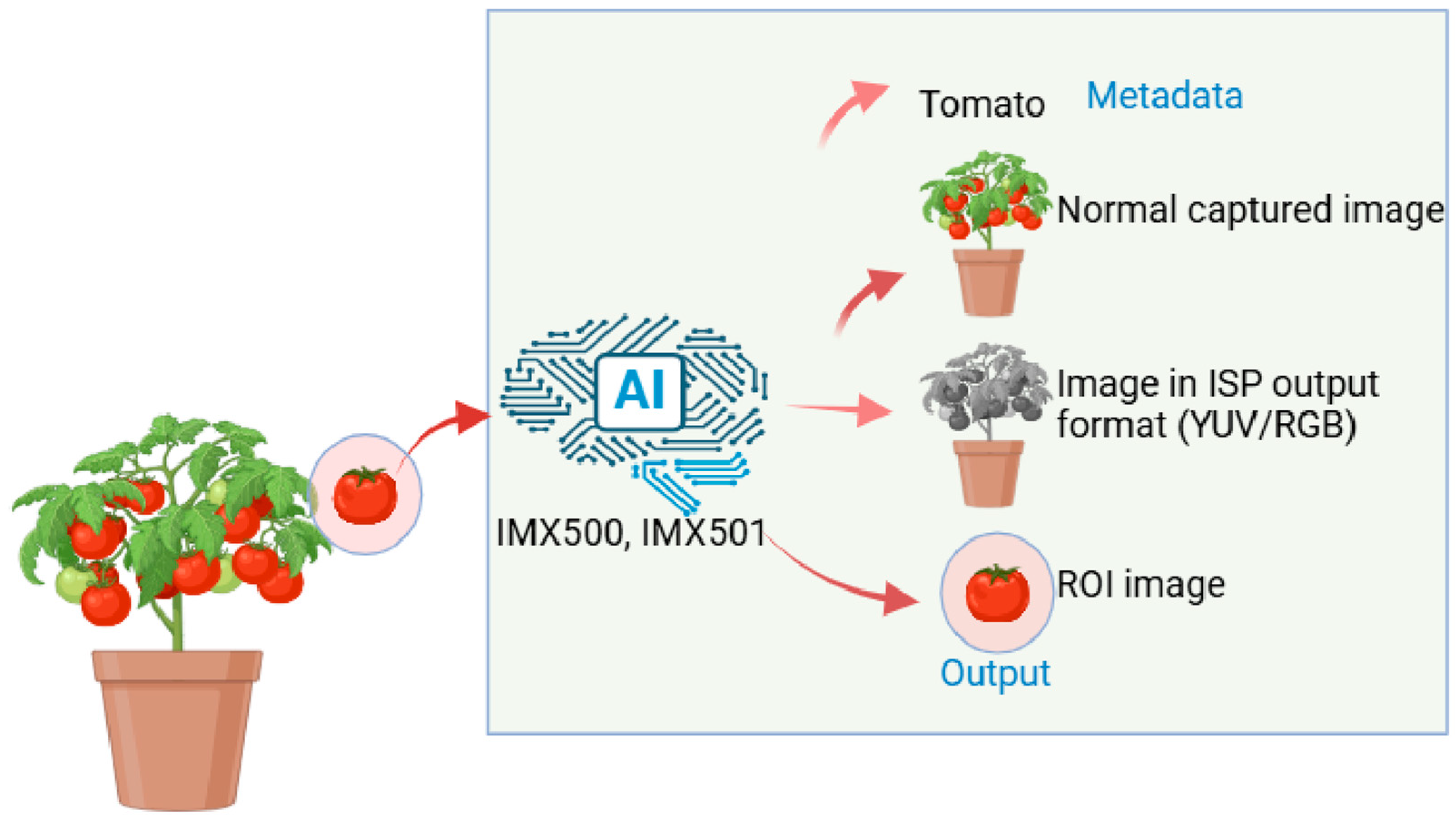 Agriculture 15 00582 g004
