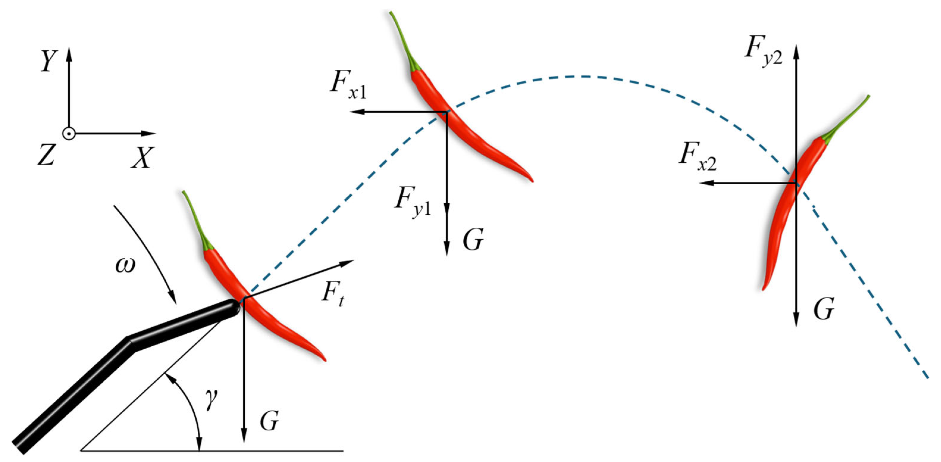 Agriculture 15 00600 g006