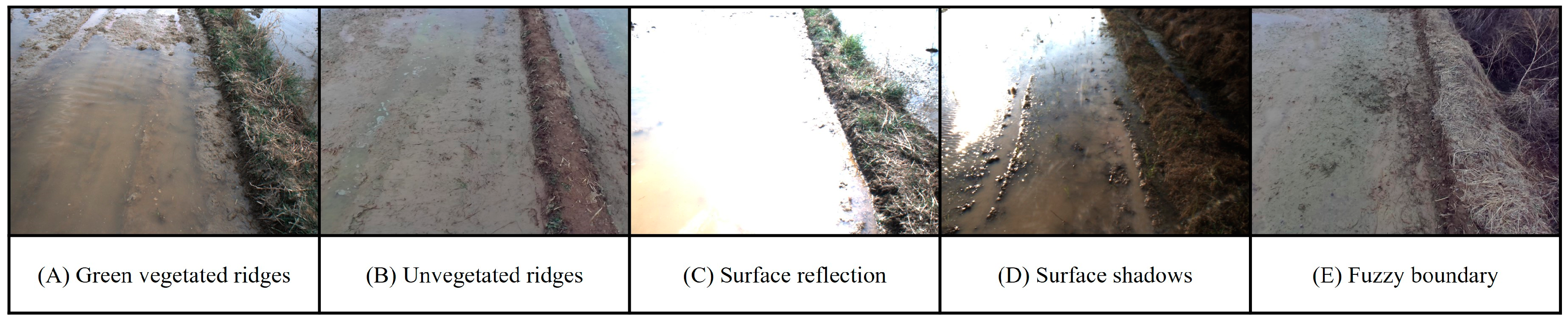 Agriculture 15 00627 g004