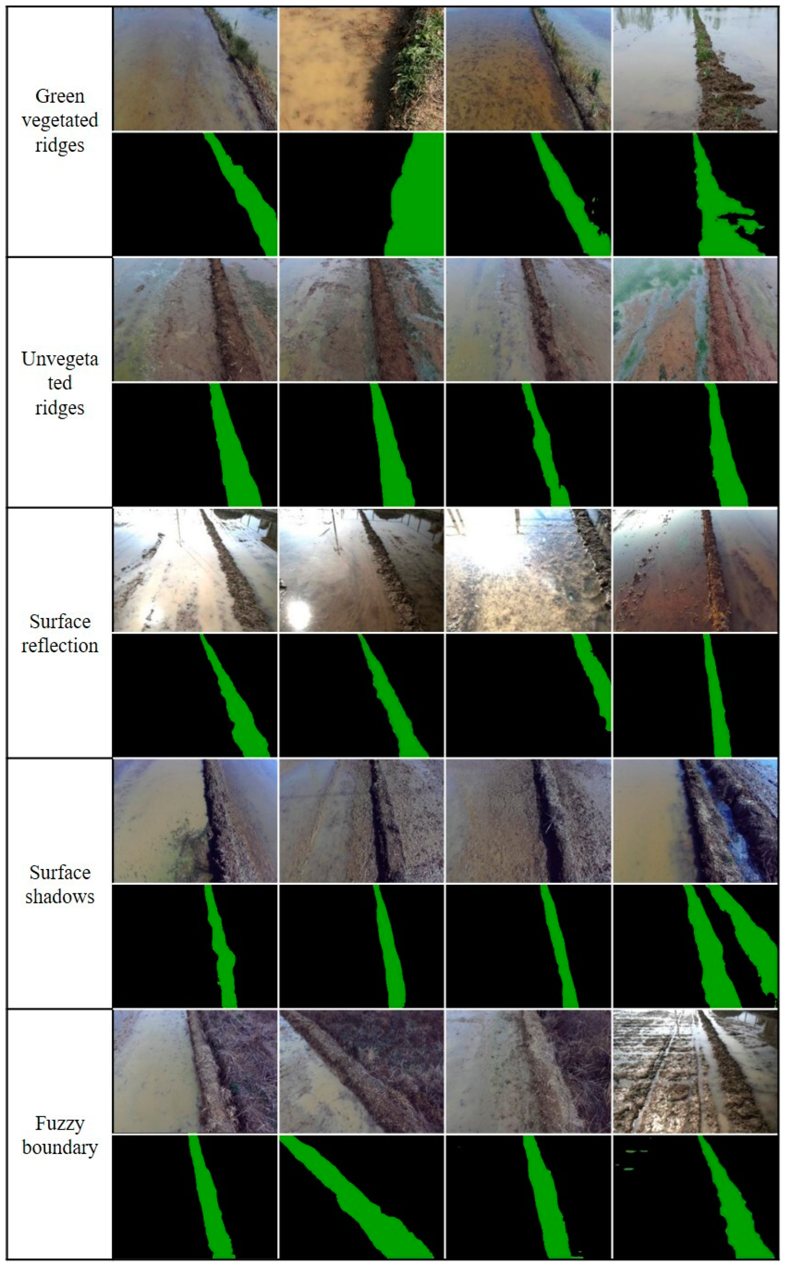 Agriculture 15 00627 g013