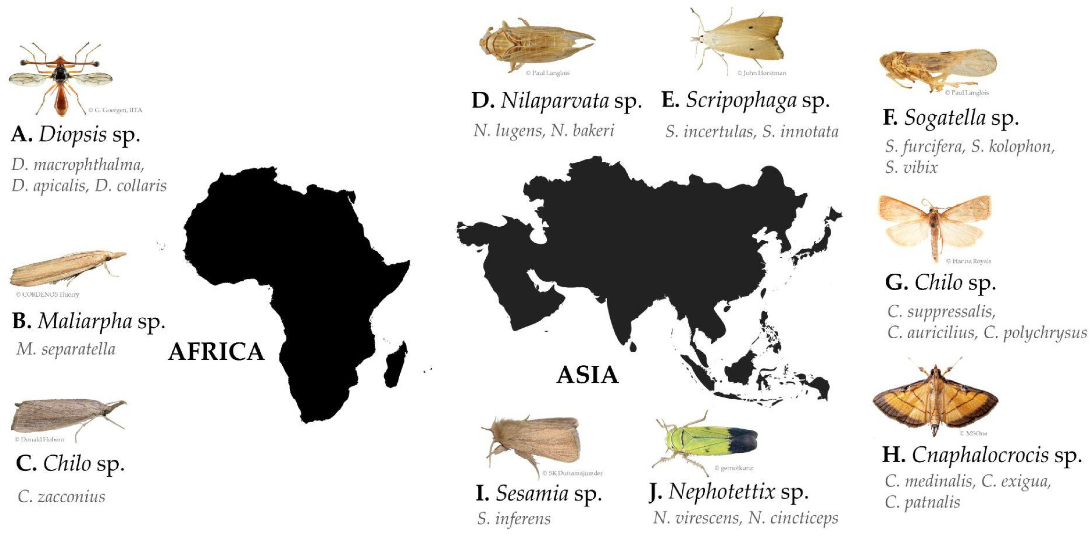 Agriculture 15 00667 g003