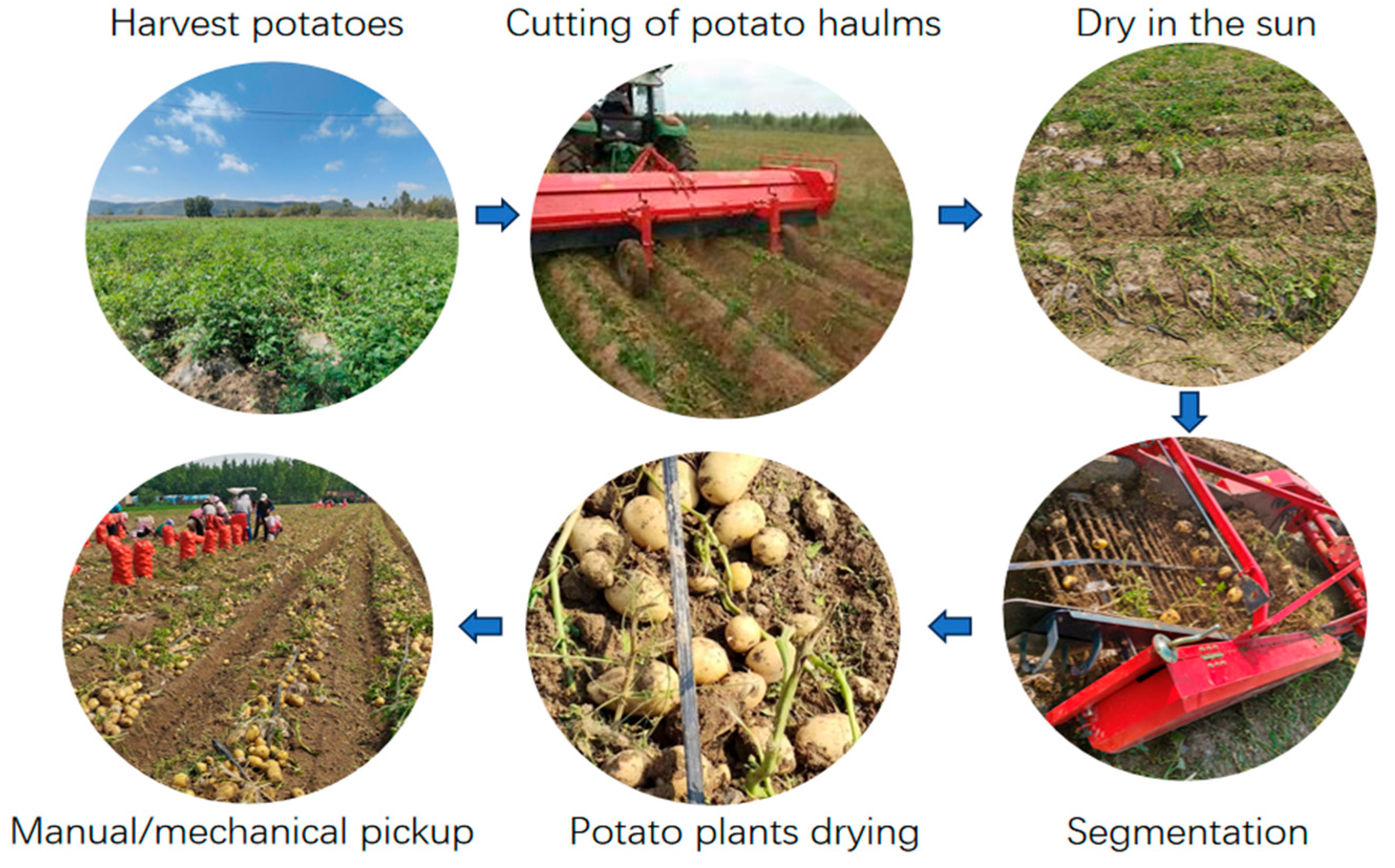 Agriculture 15 00675 g001