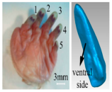 Agriculture 15 00675 i009