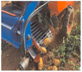 Agriculture 15 00675 i025