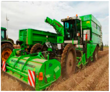 Agriculture 15 00675 i037