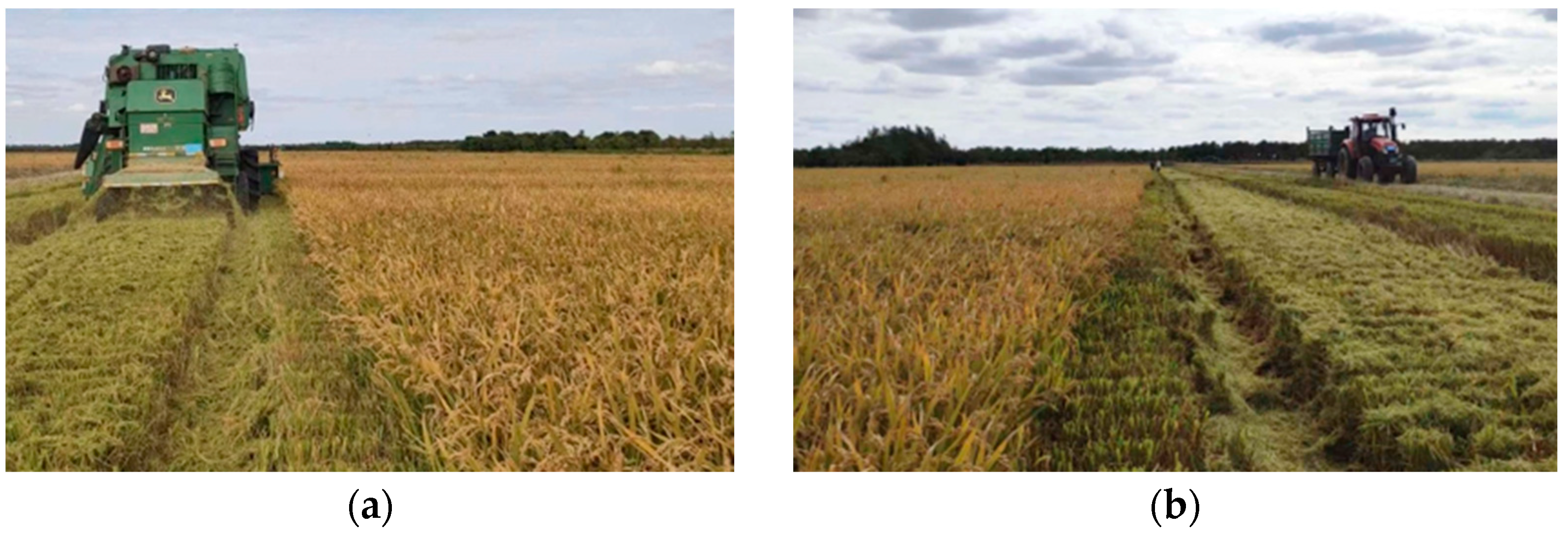 Agriculture 15 00676 g014