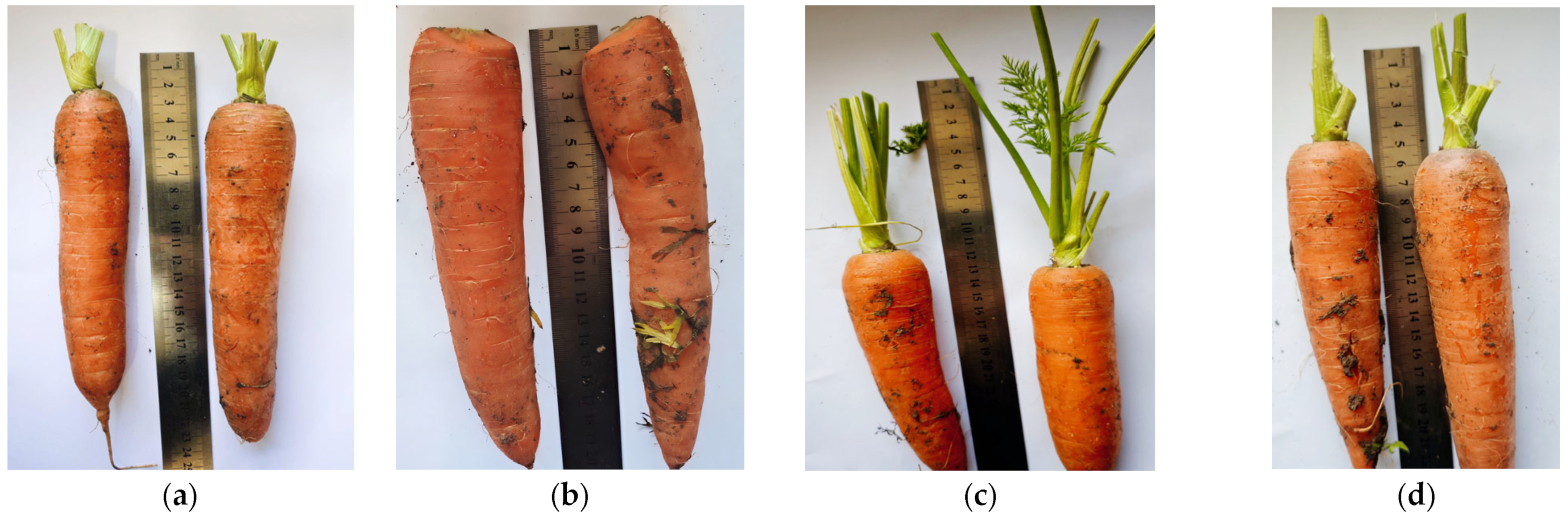 Agriculture 15 00682 g007