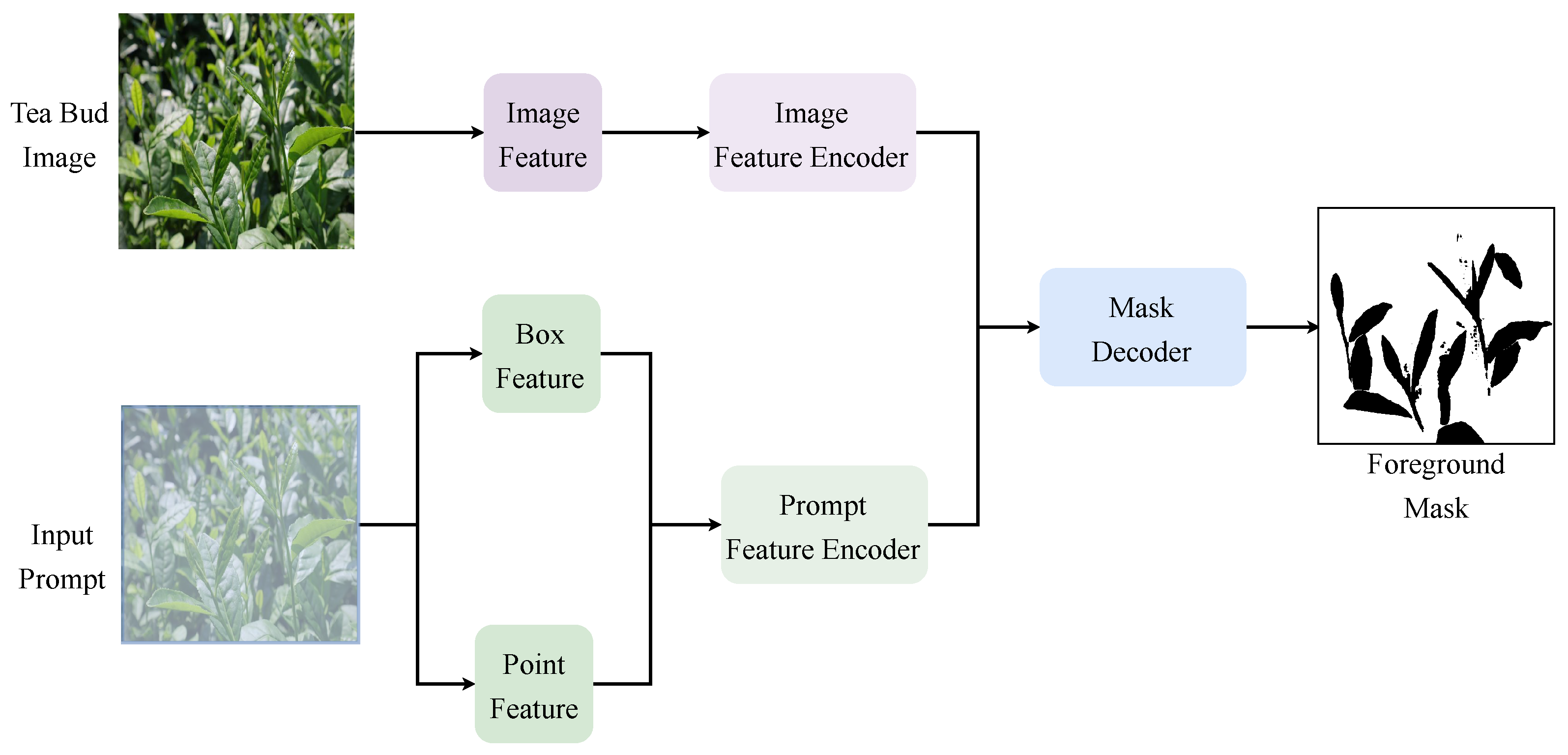 Agriculture 15 00712 g004