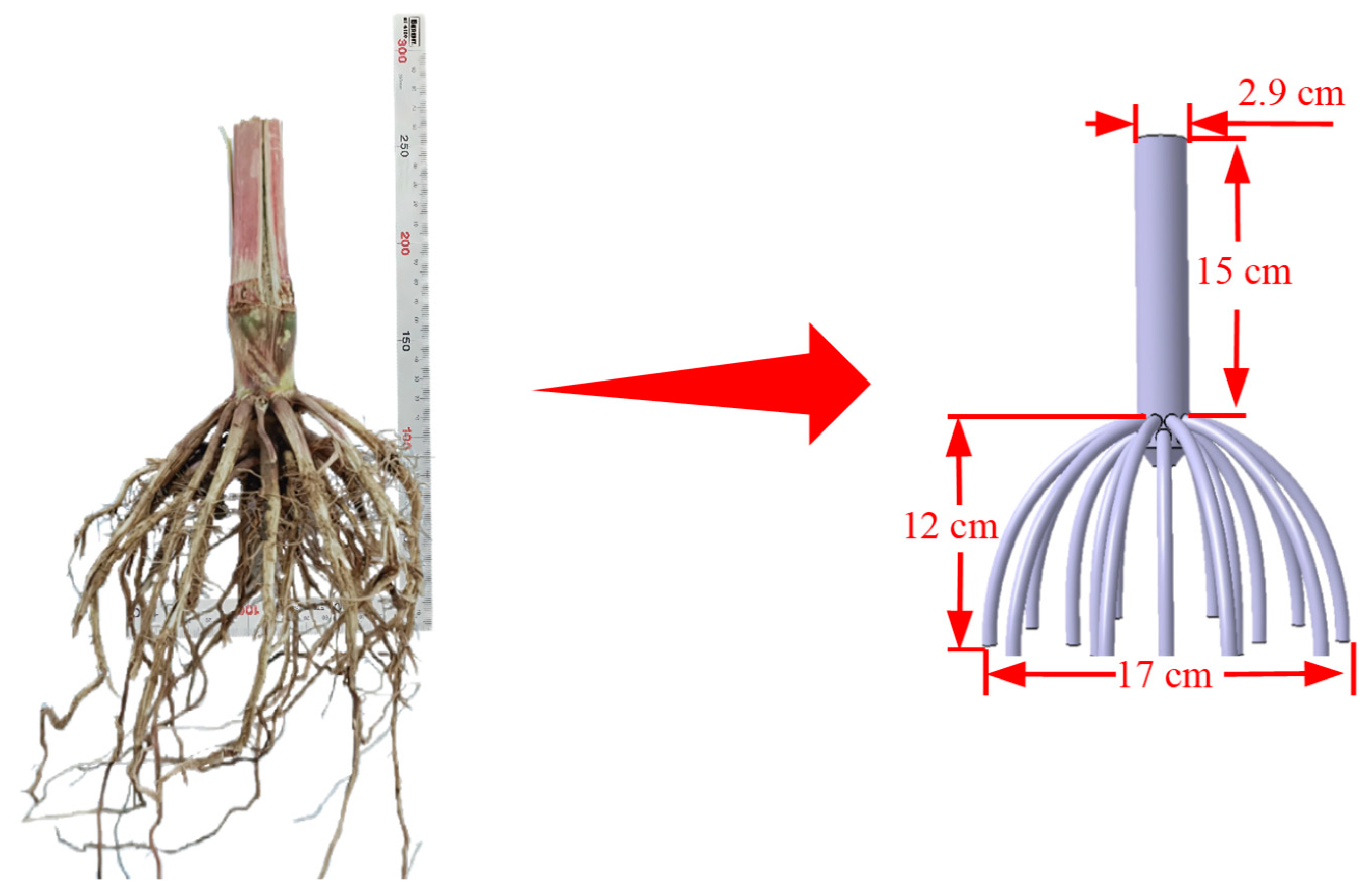 Agriculture 15 00717 g001