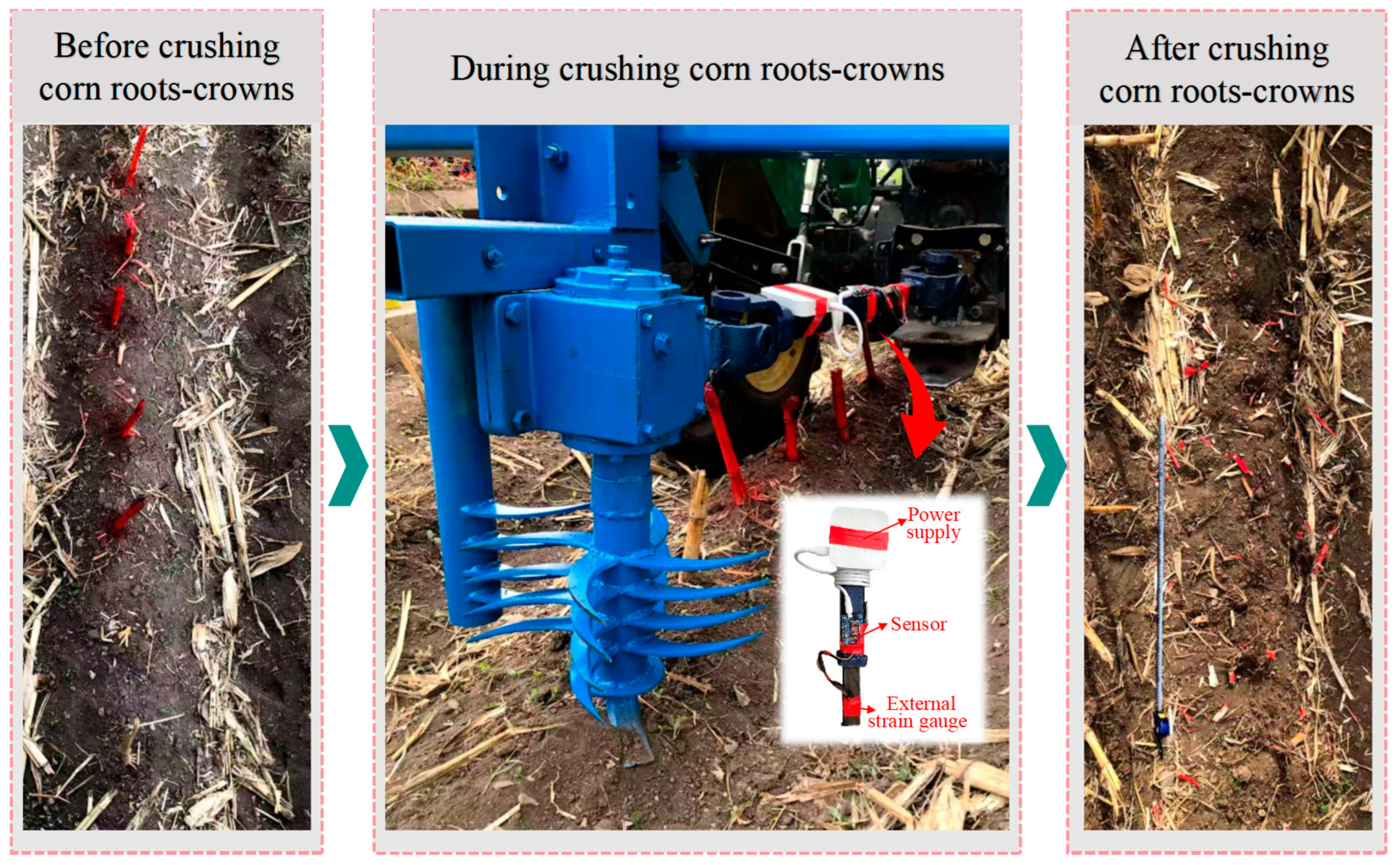 Agriculture 15 00717 g005