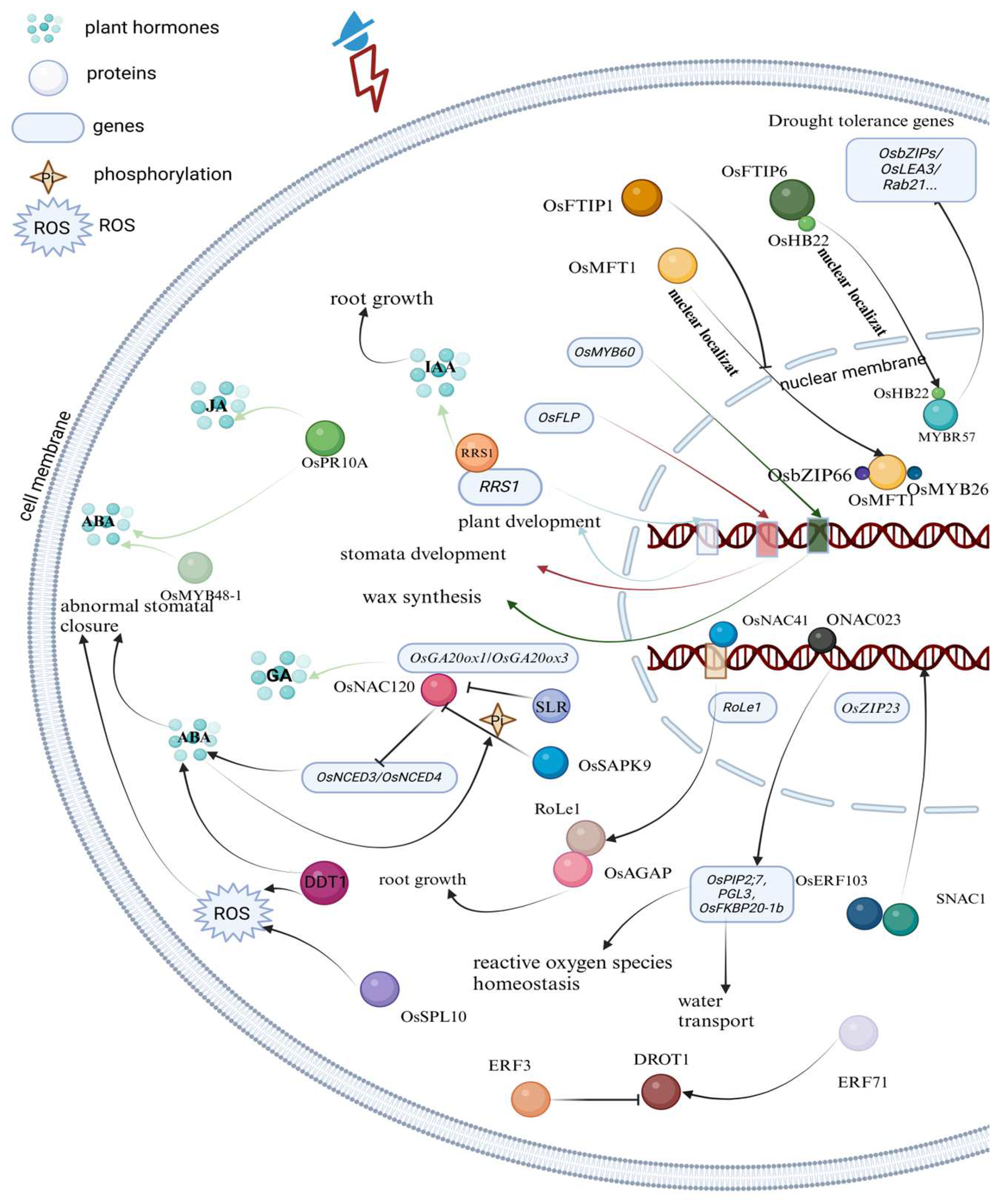 Agriculture 15 00721 g002