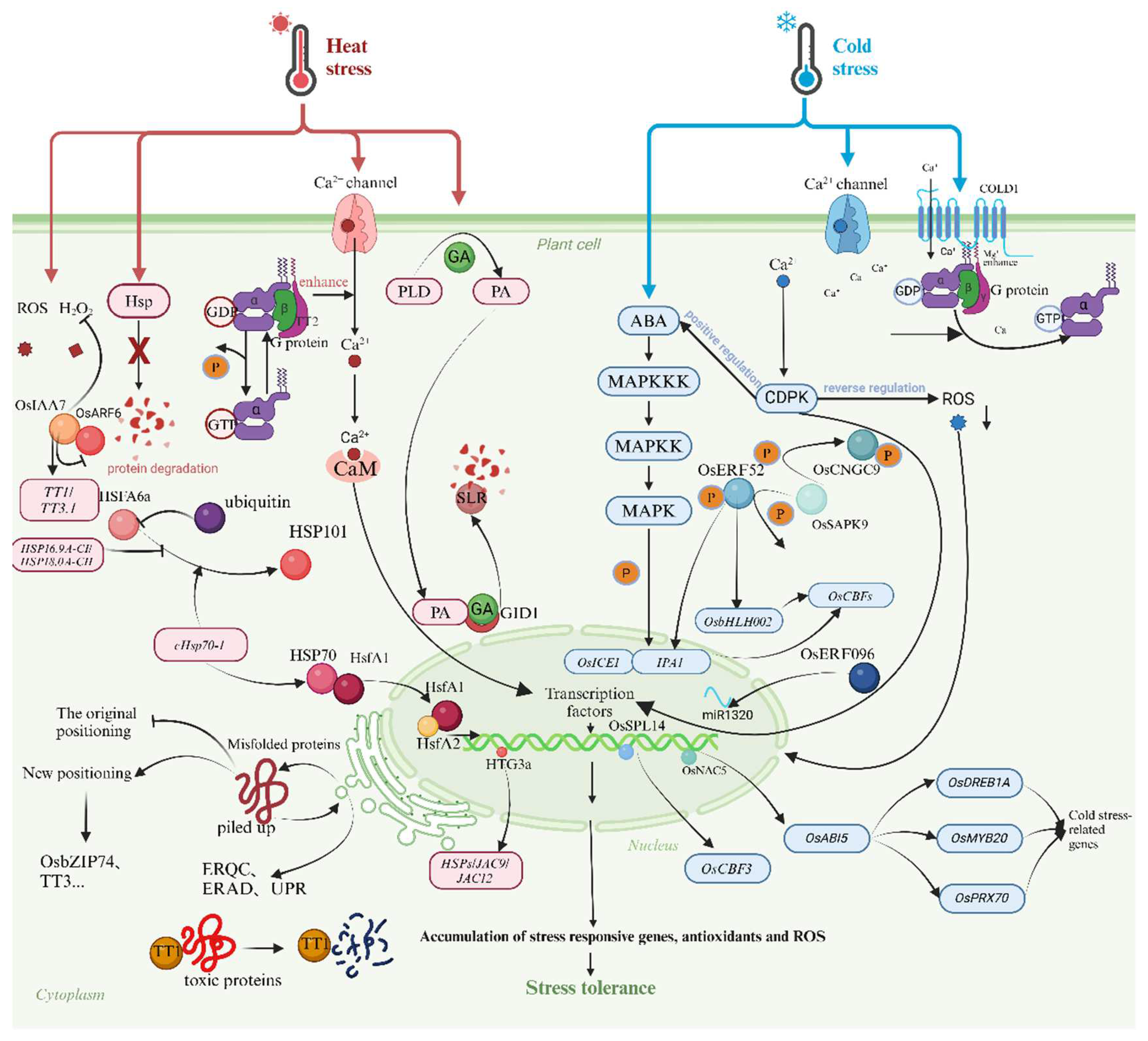 Agriculture 15 00721 g005