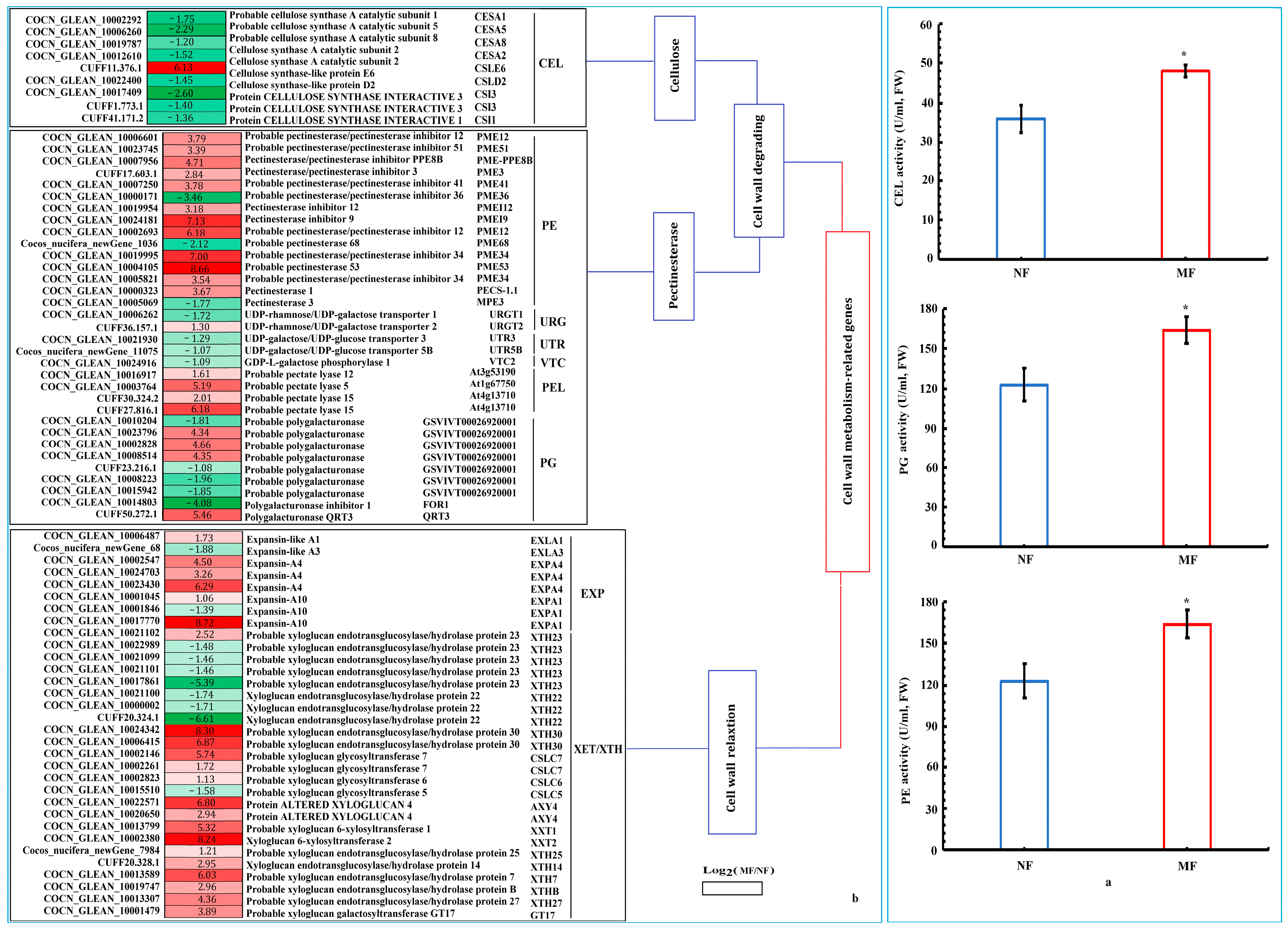 Agriculture 15 00723 g010