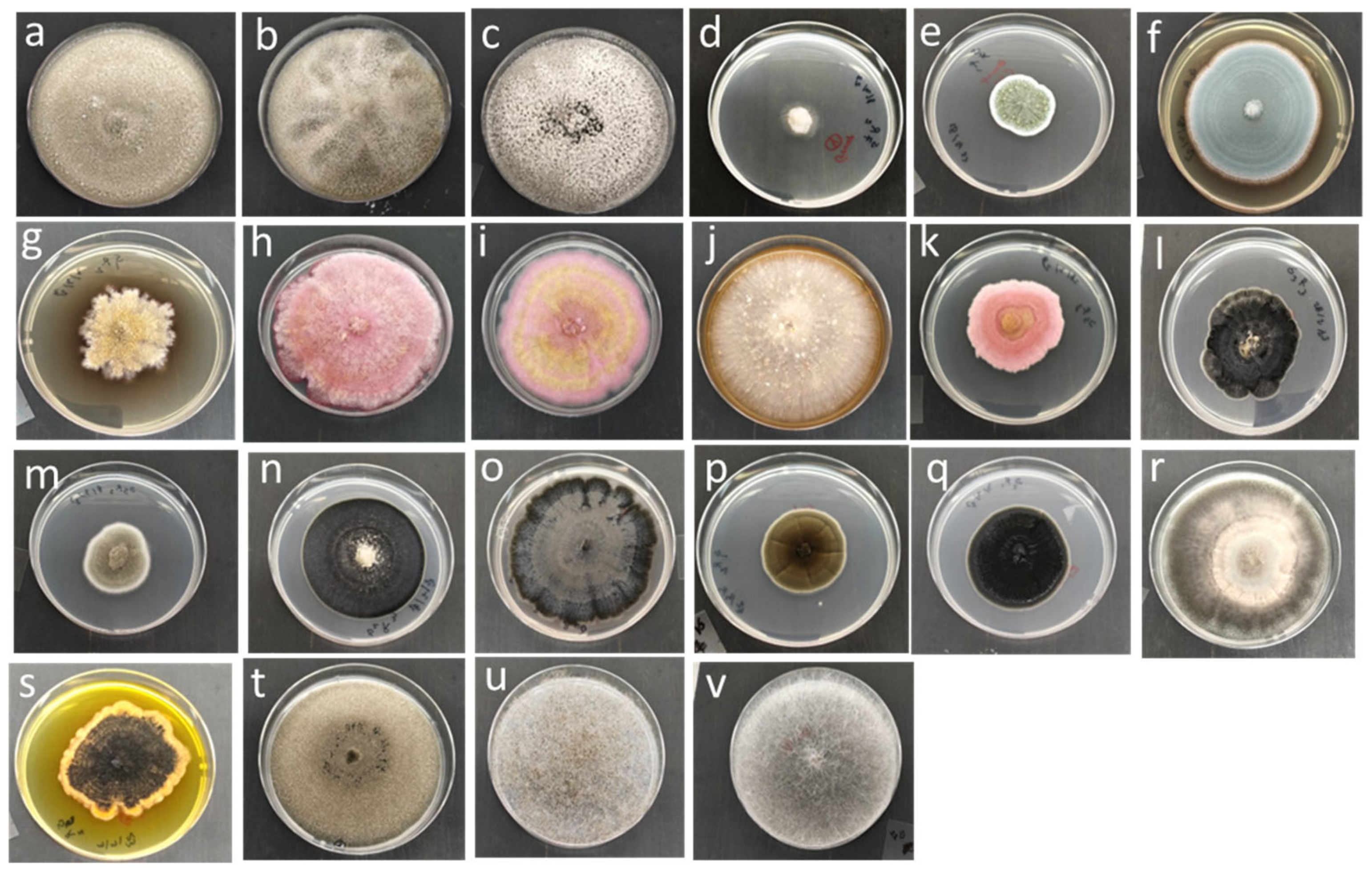 Agriculture 15 00748 g001