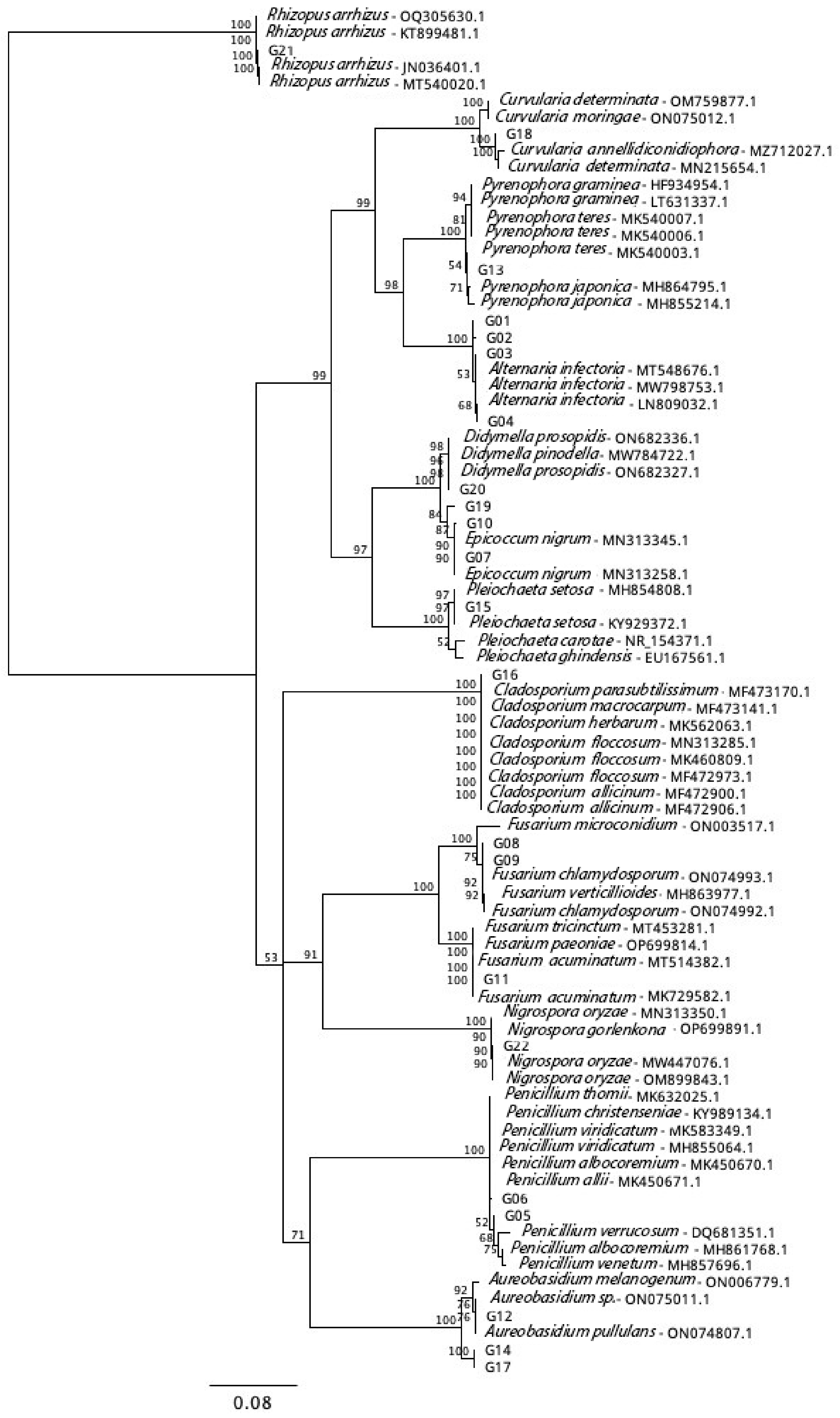Agriculture 15 00748 g002