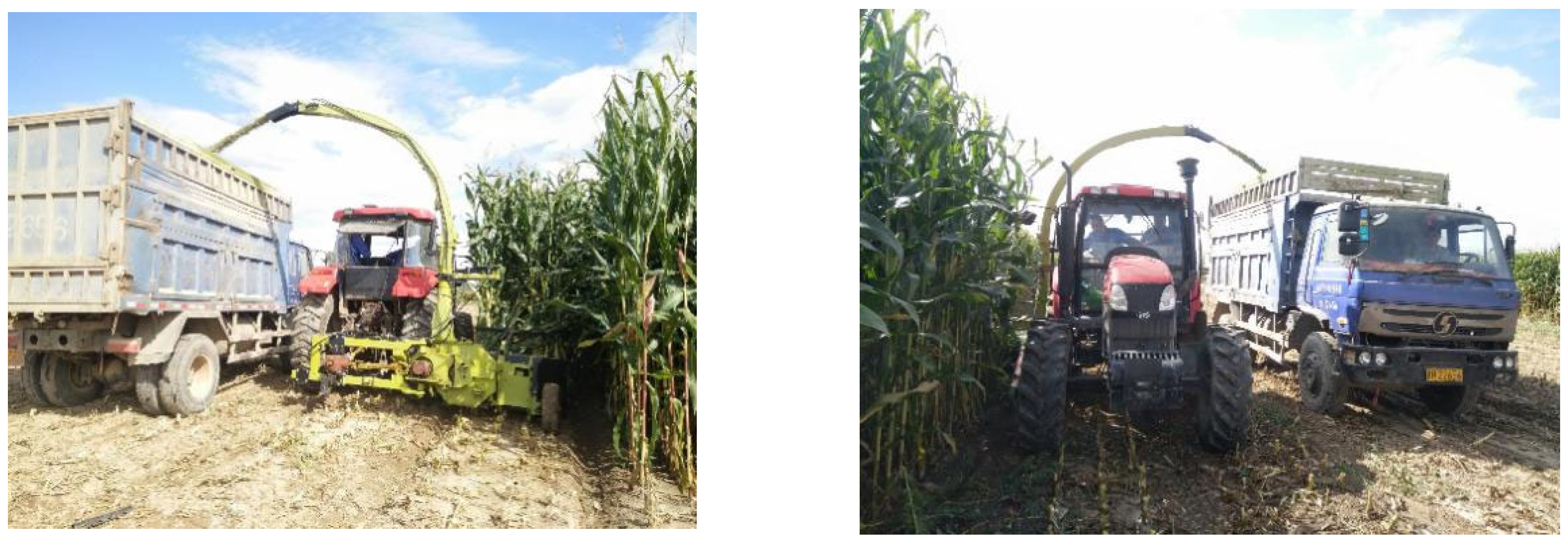 Agriculture 15 00751 g013