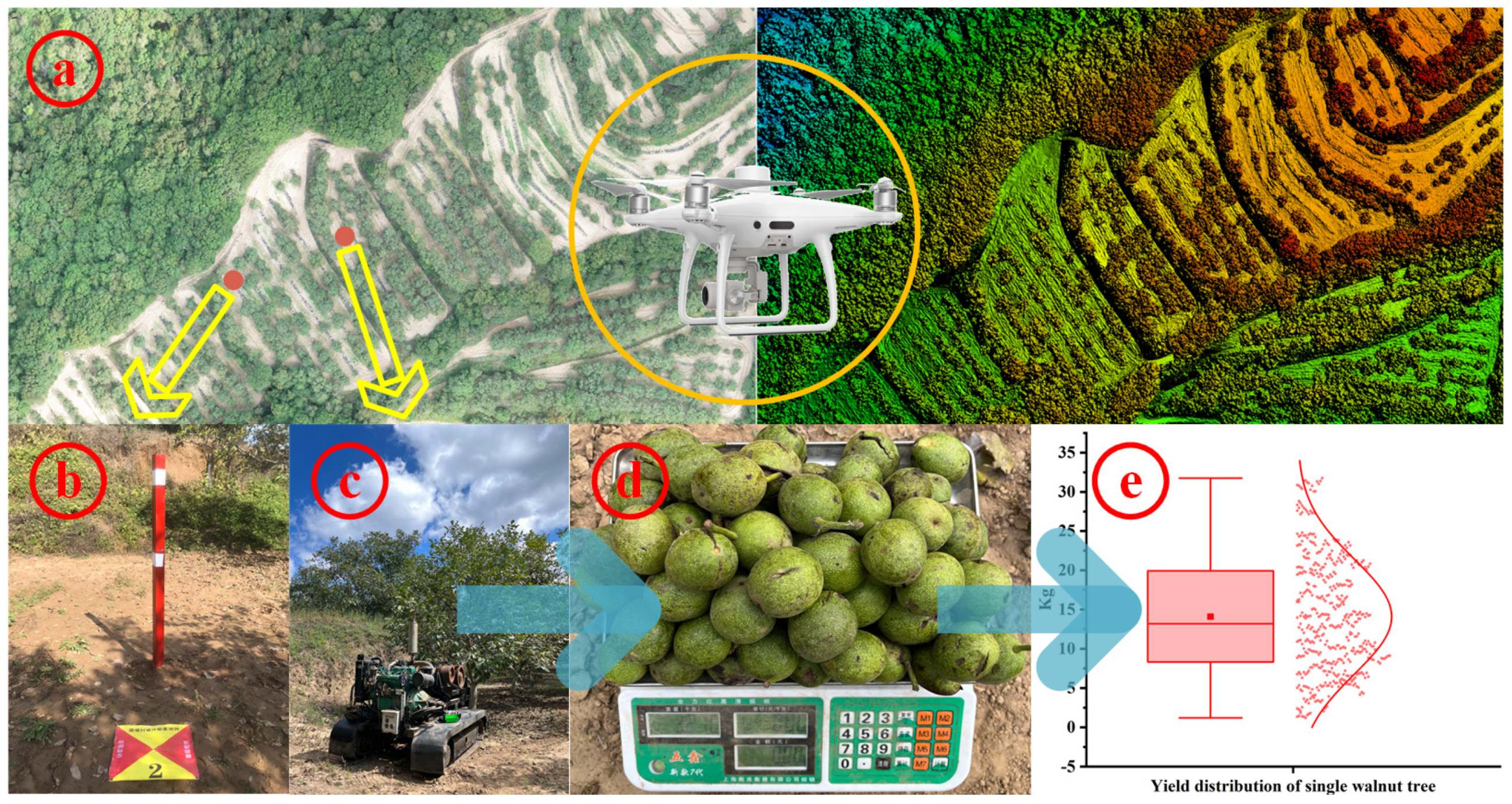 Agriculture 15 00775 g002