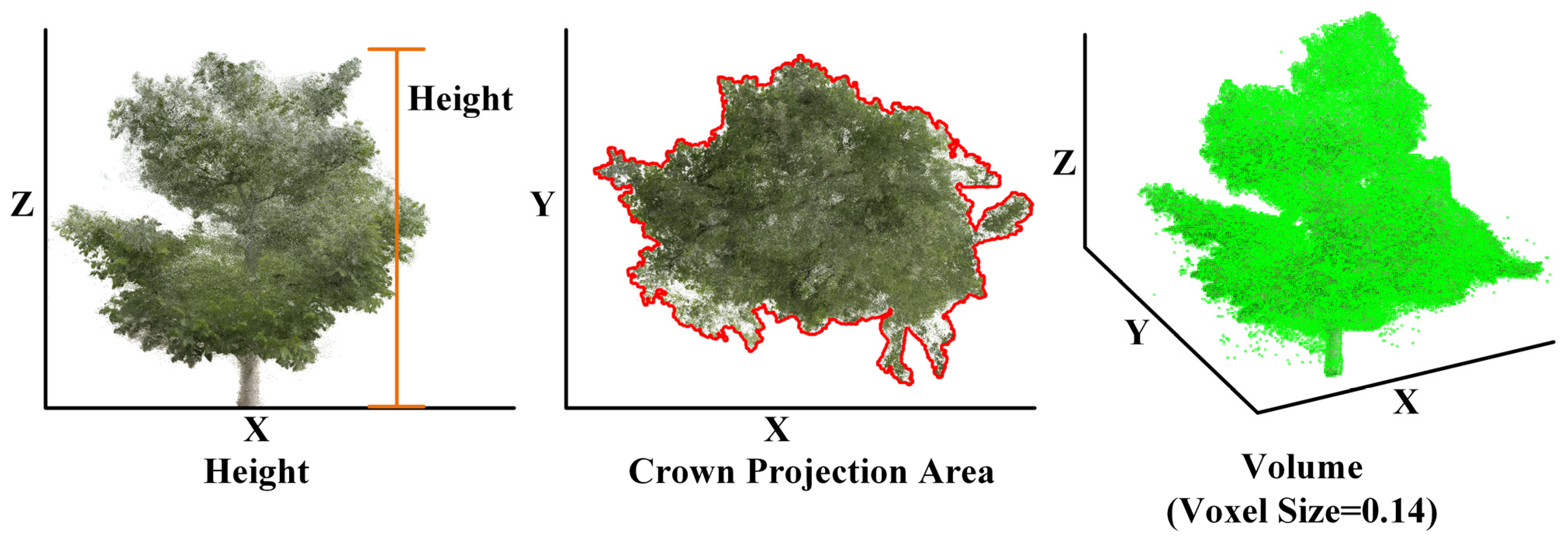 Agriculture 15 00775 g004