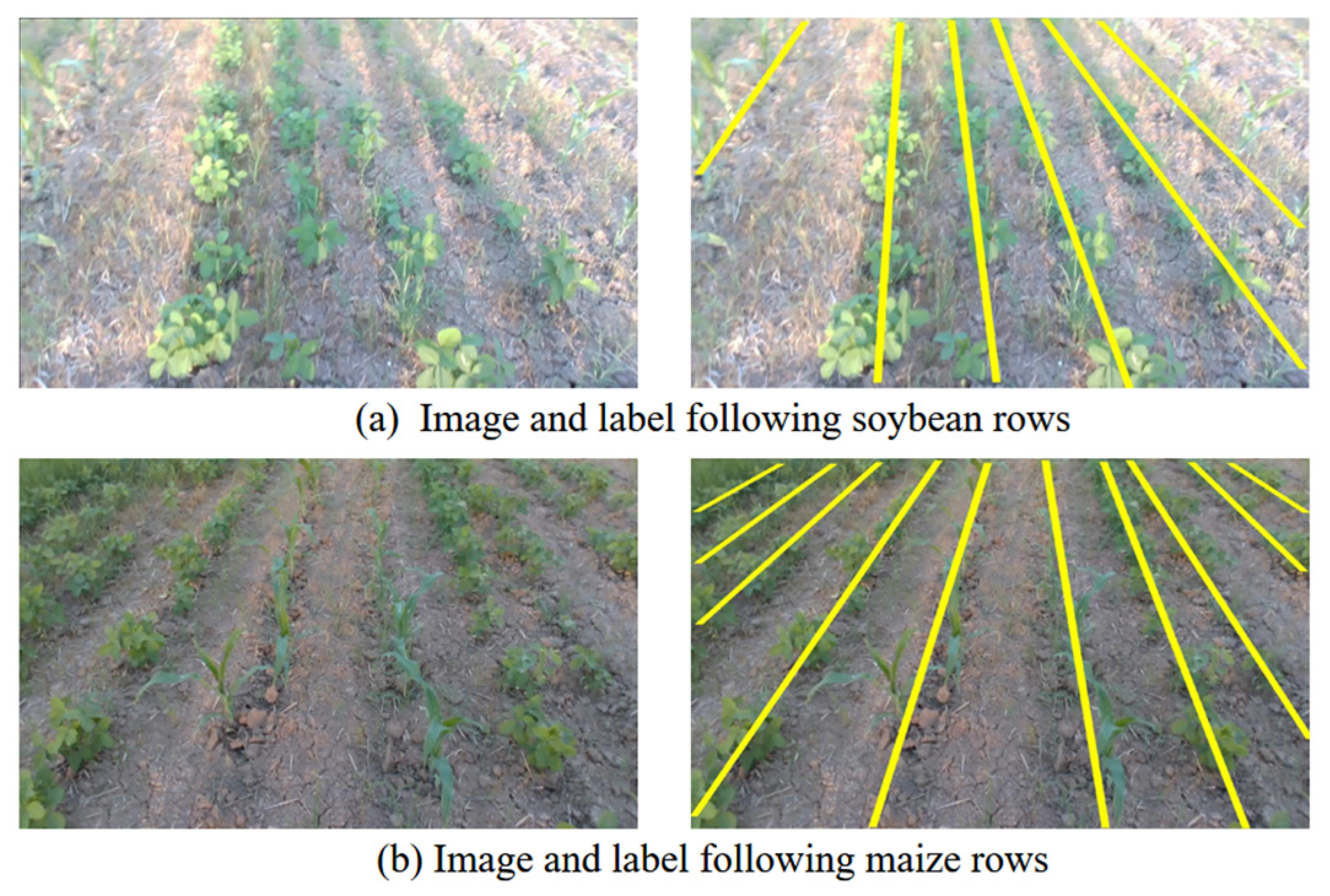 Agriculture 15 00796 g002