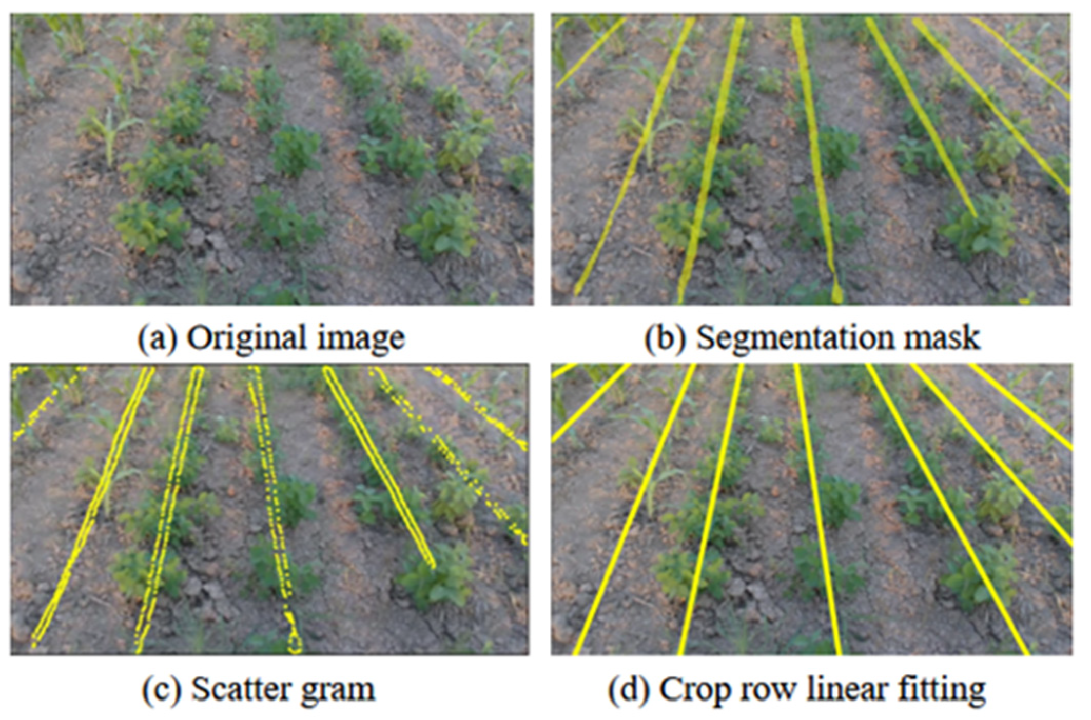 Agriculture 15 00796 g010
