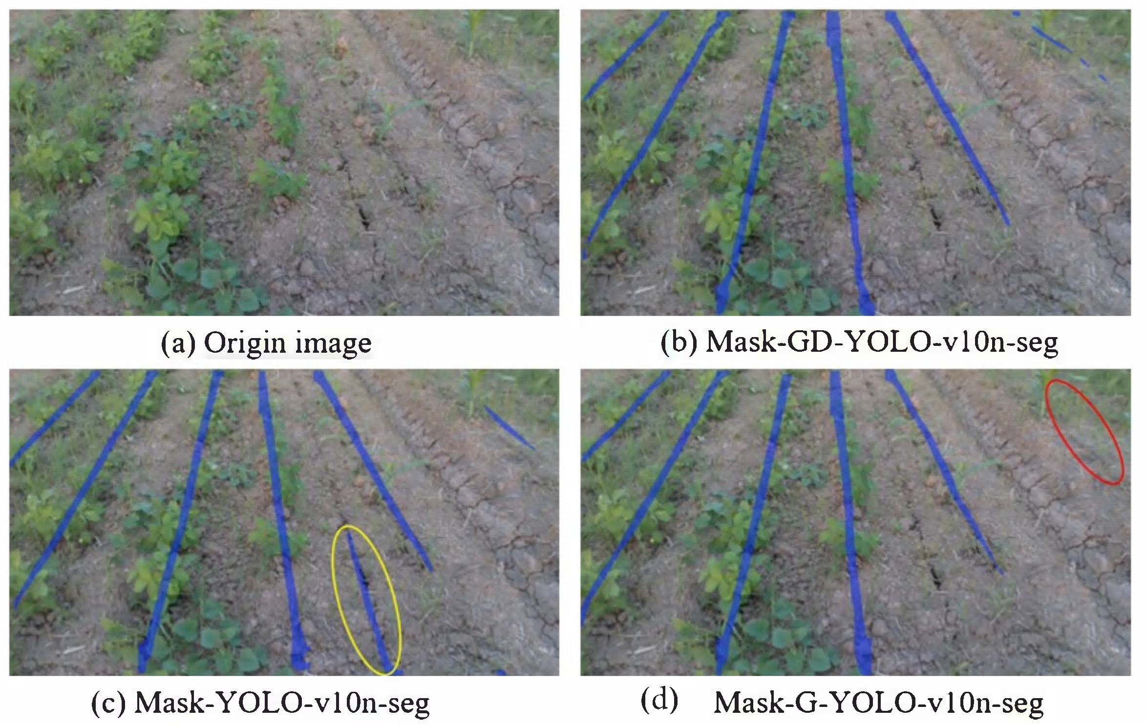 Agriculture 15 00796 g011
