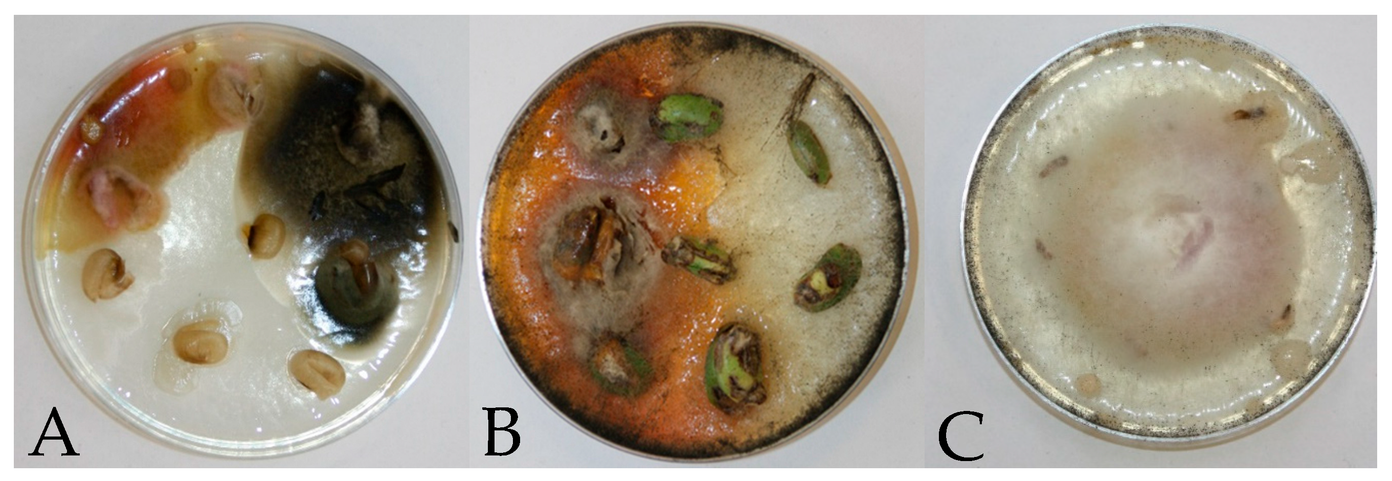 Agriculture 15 00857 g001