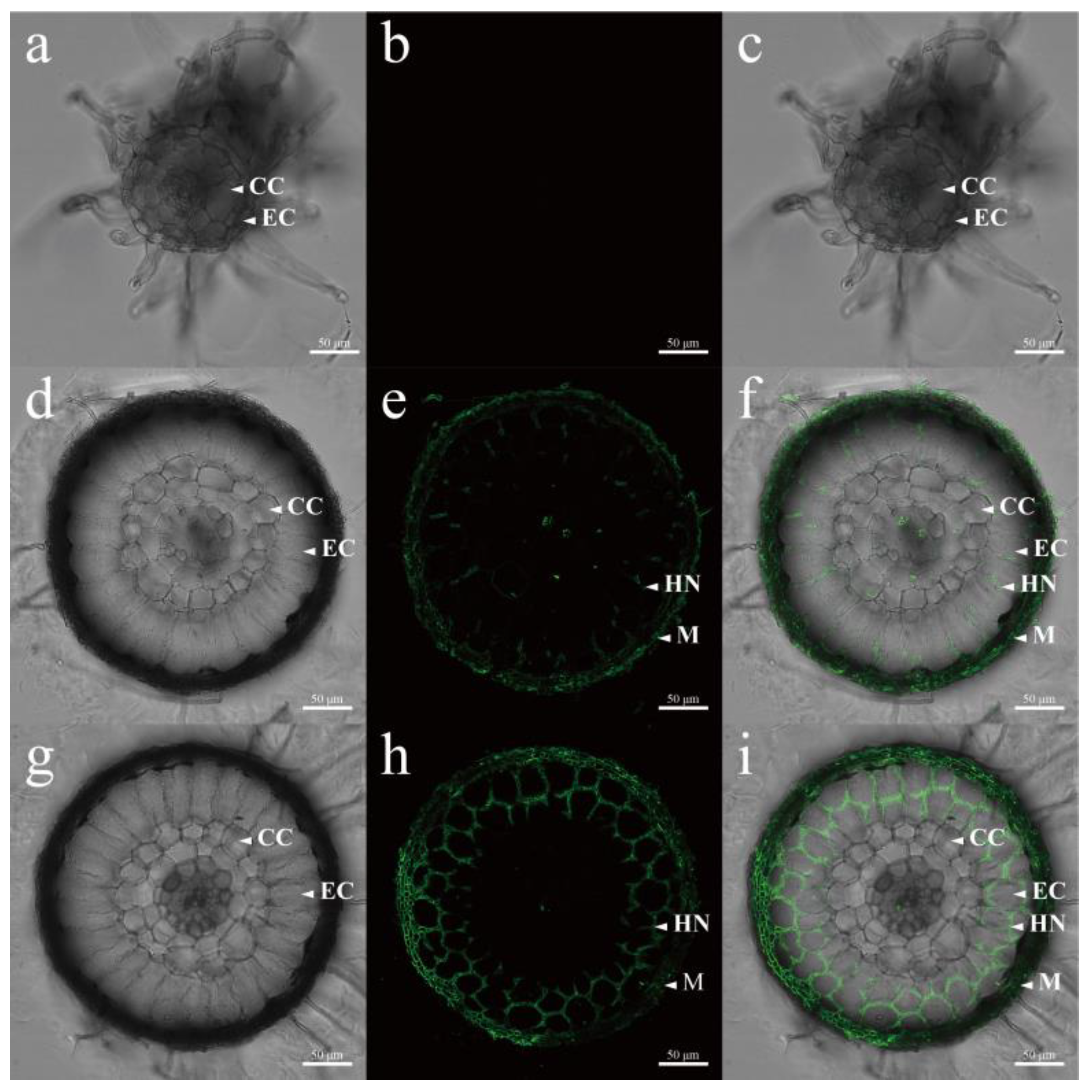 Agriculture 15 00868 g003