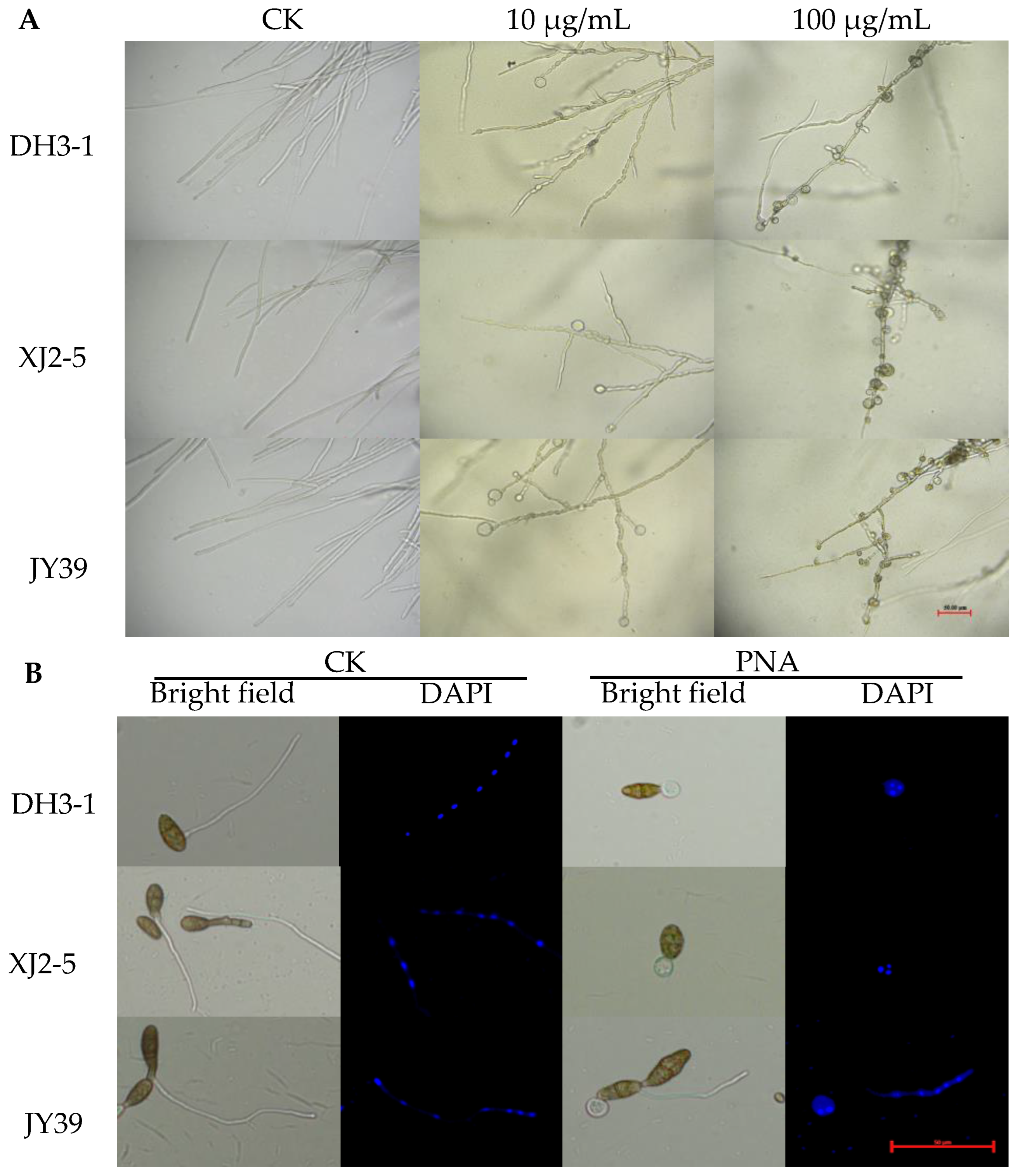 Agriculture 15 00875 g002