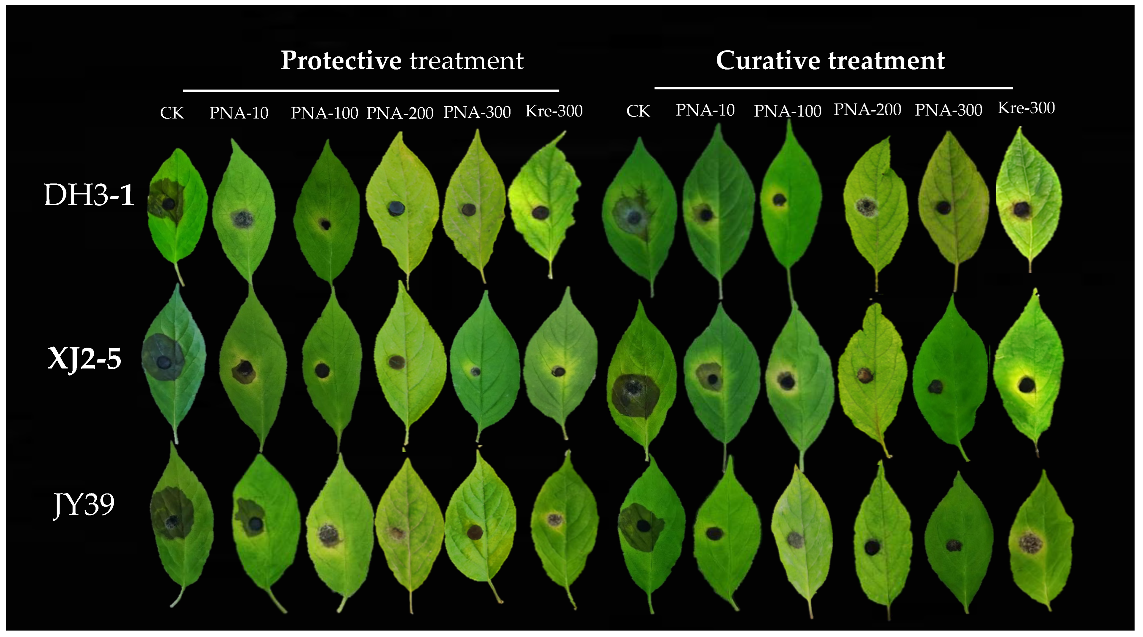 Agriculture 15 00875 g006