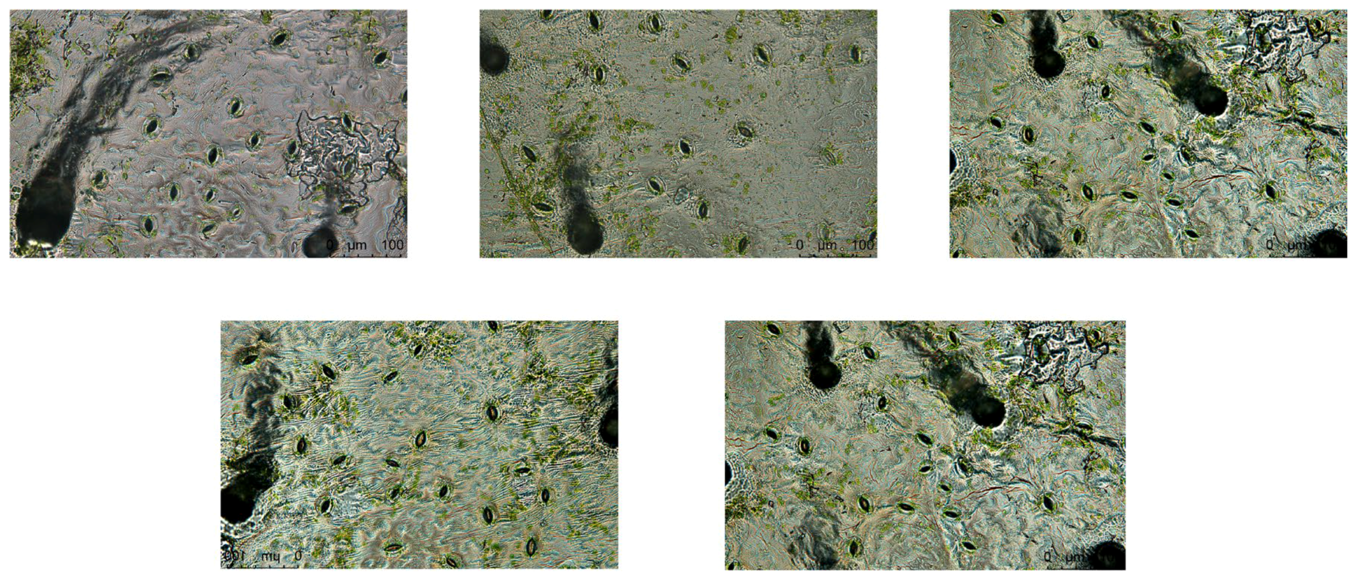 Agriculture 15 00878 g005