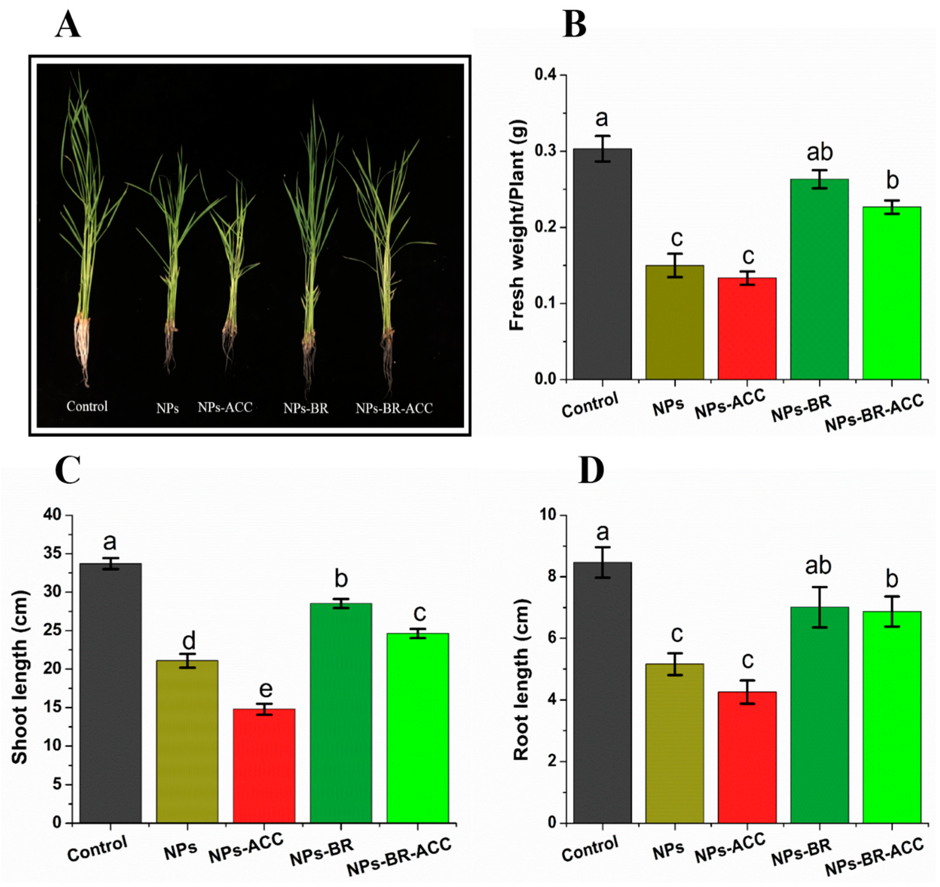 Agriculture 15 00907 g002