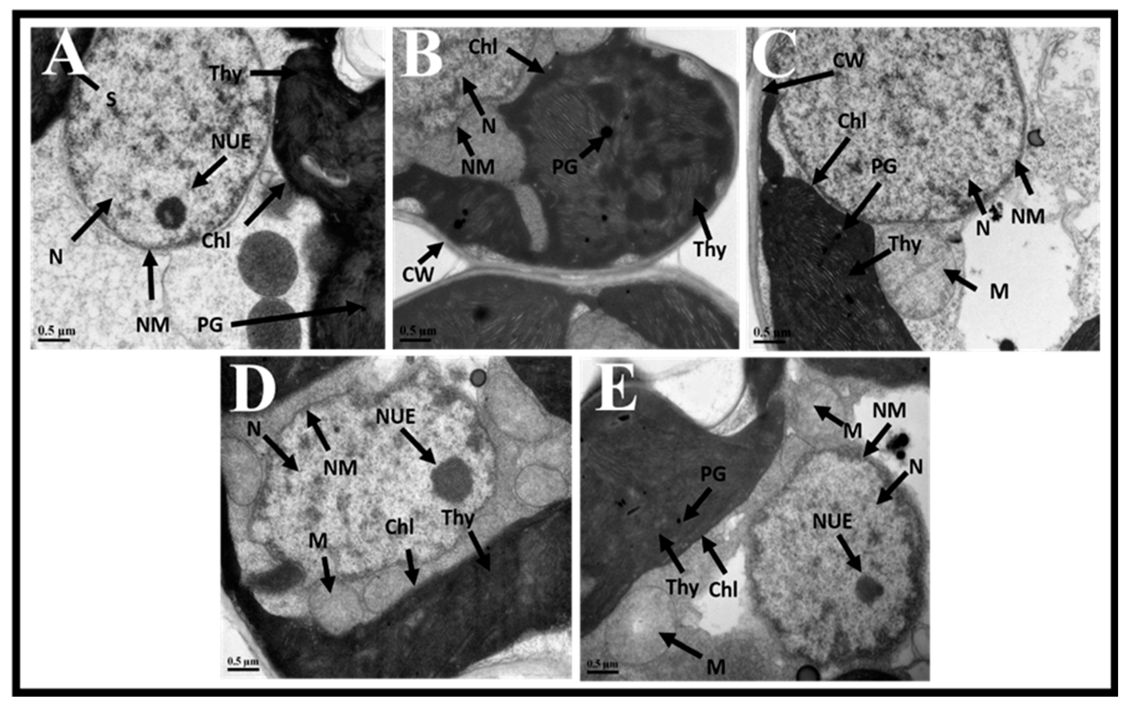 Agriculture 15 00907 g006