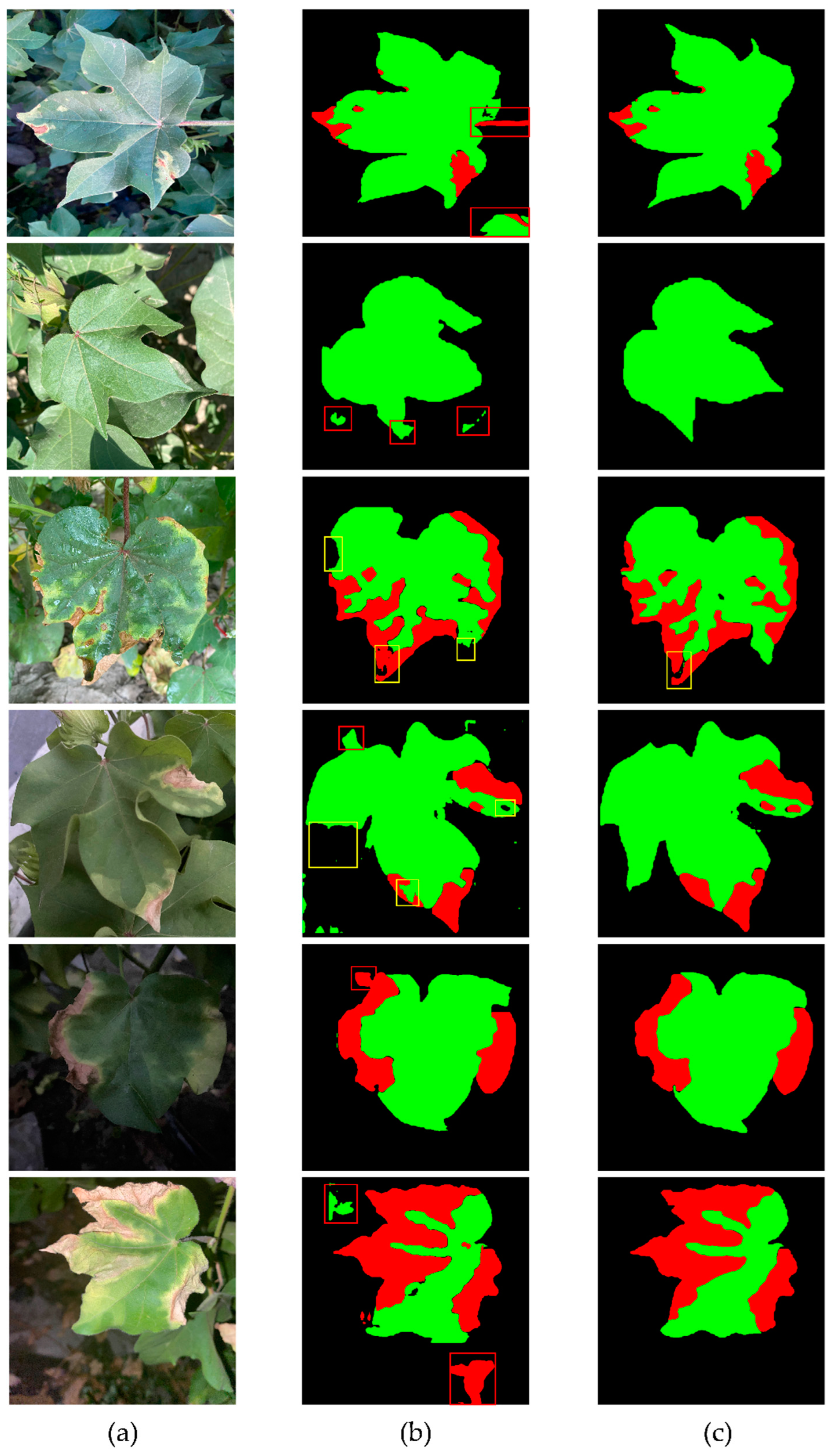 Agriculture 15 00911 g011