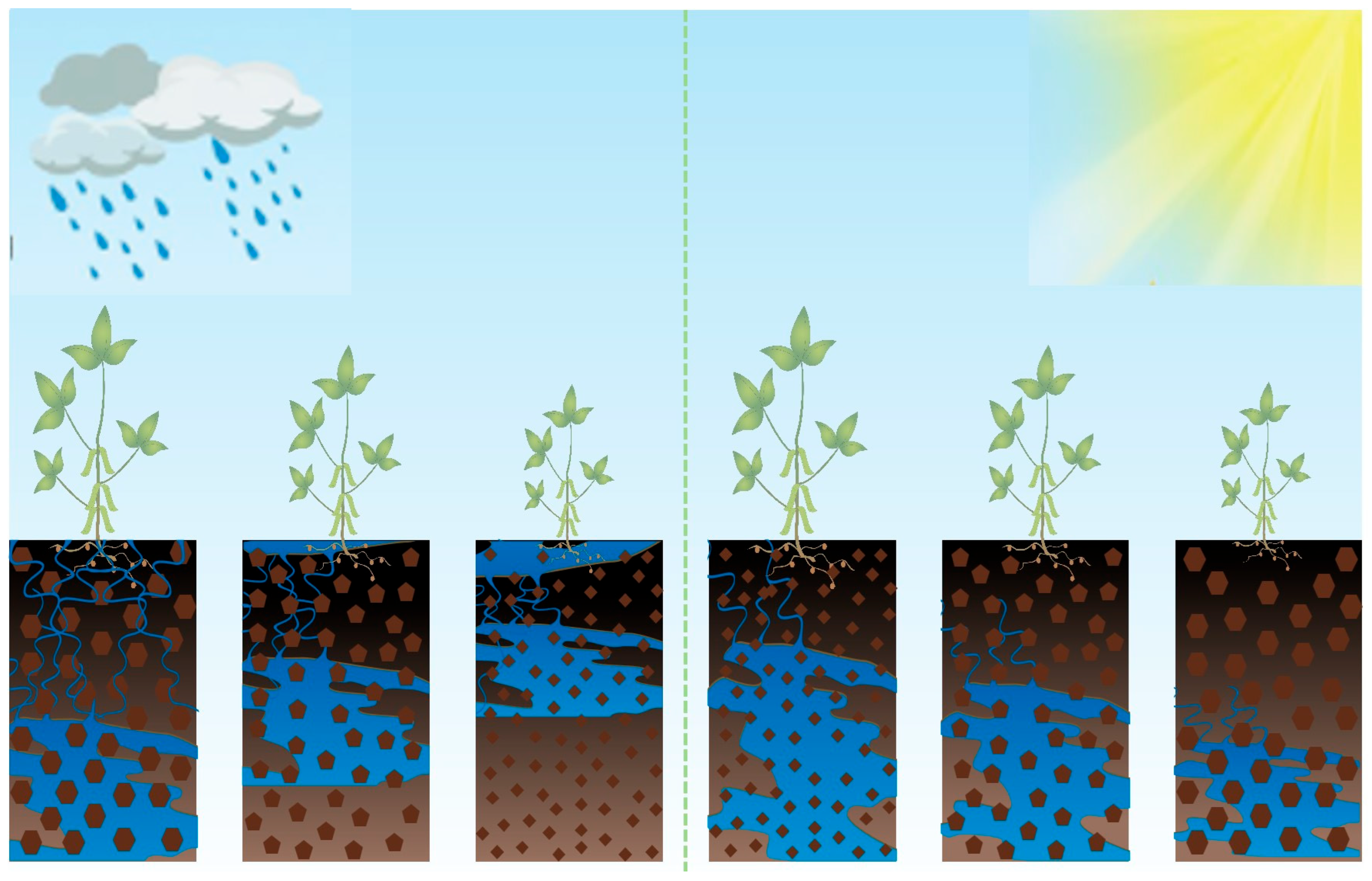 Agriculture 15 00912 g011