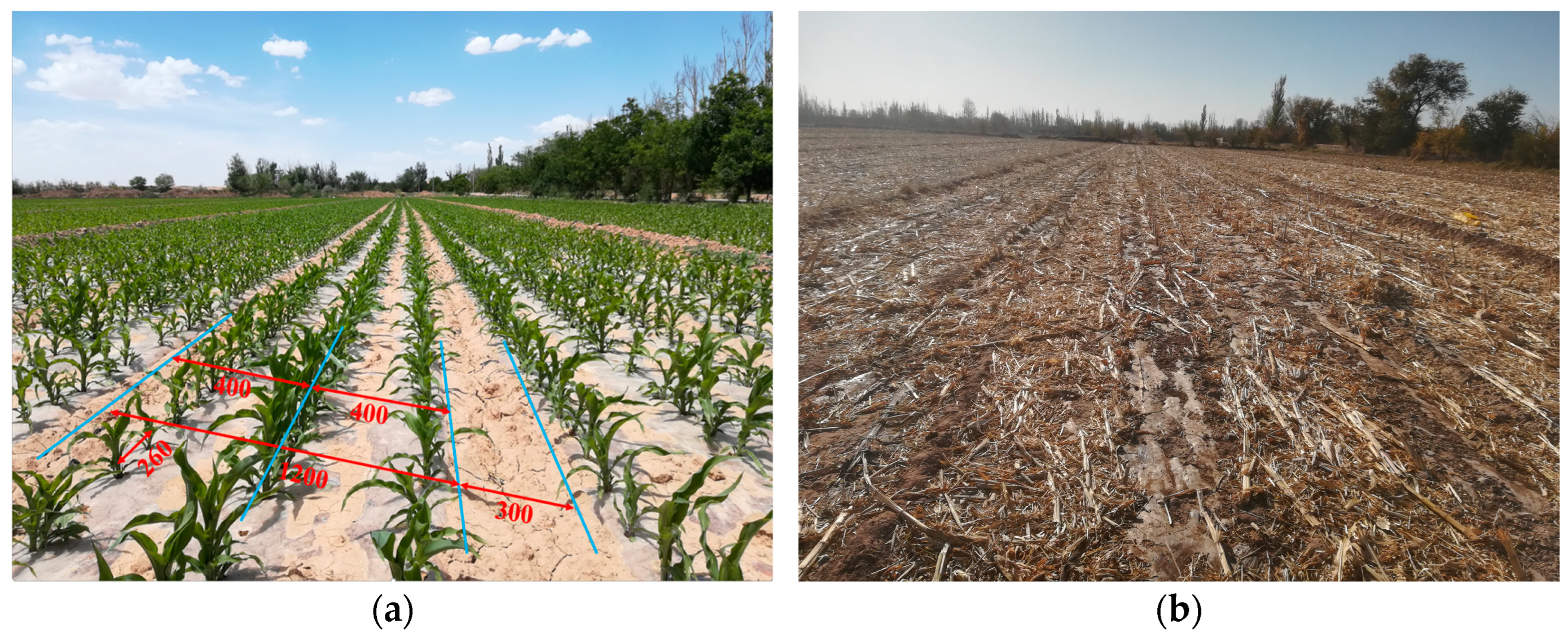 Agriculture 15 00916 g001