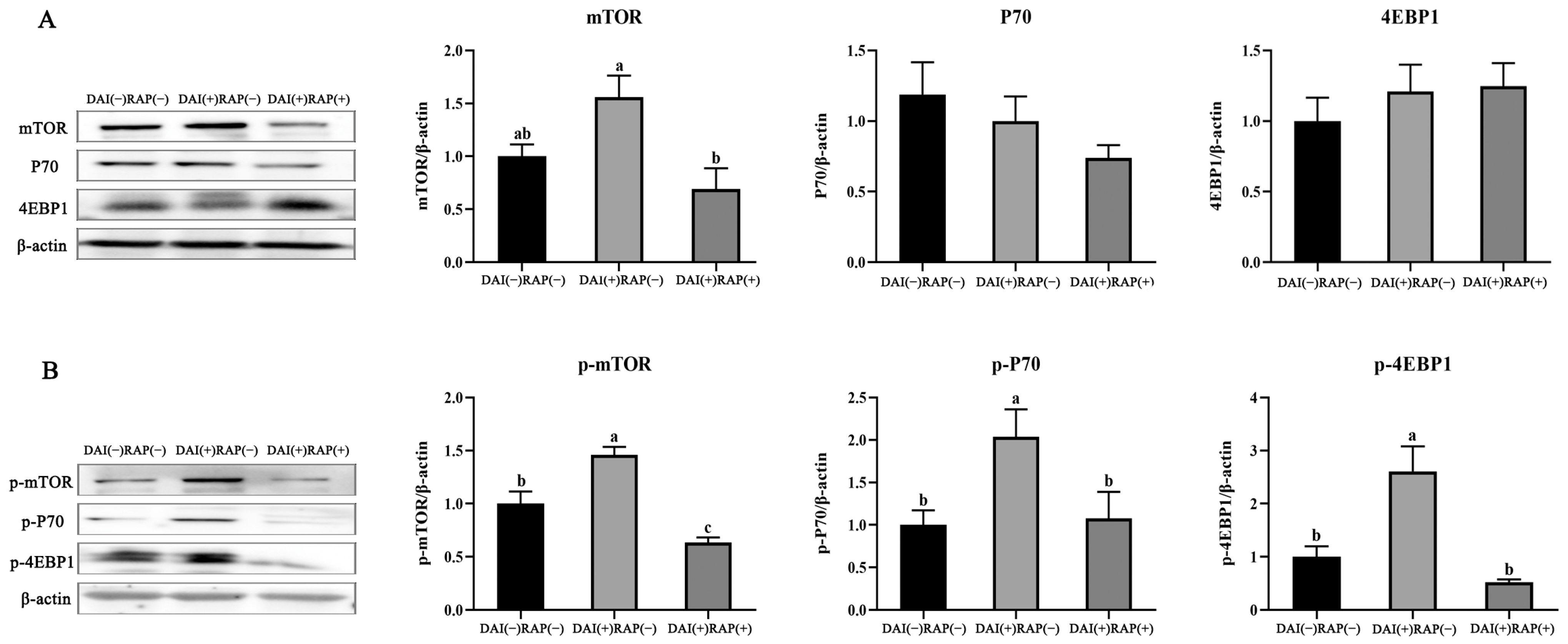 Agriculture 15 00930 g005