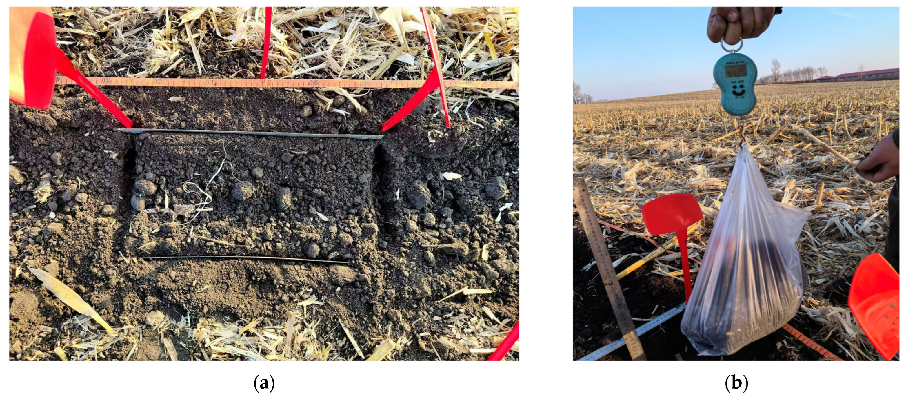 Agriculture 15 00944 g009