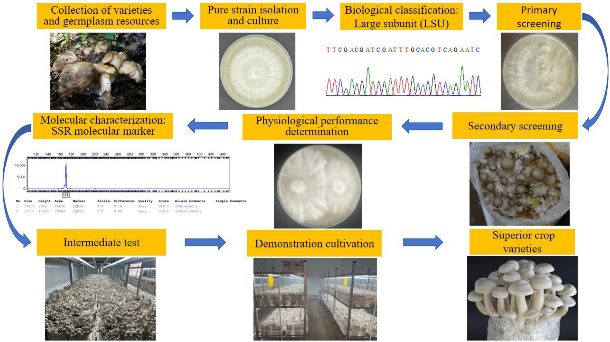 Agriculture 15 01045 g001