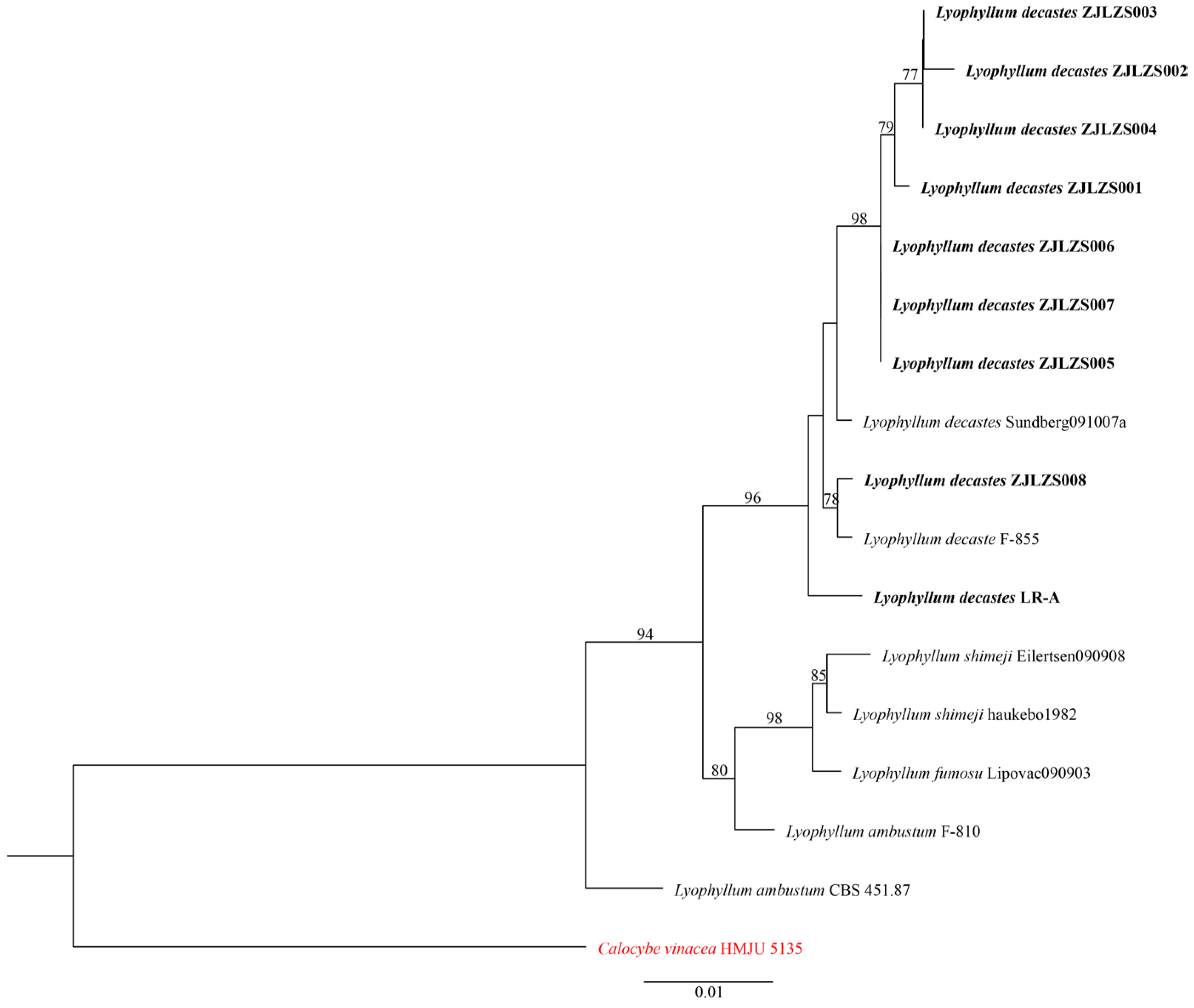 Agriculture 15 01045 g002
