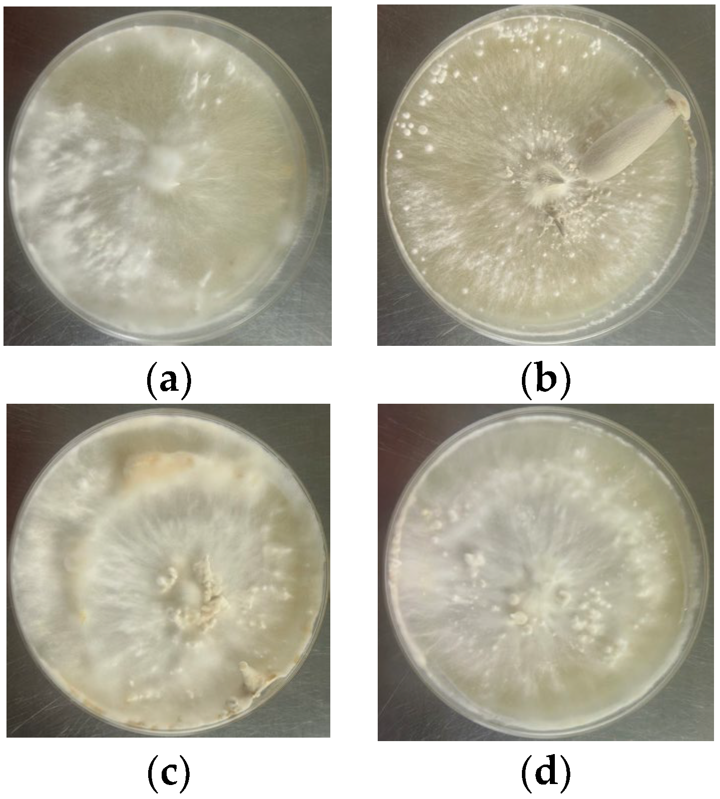 Agriculture 15 01045 g003