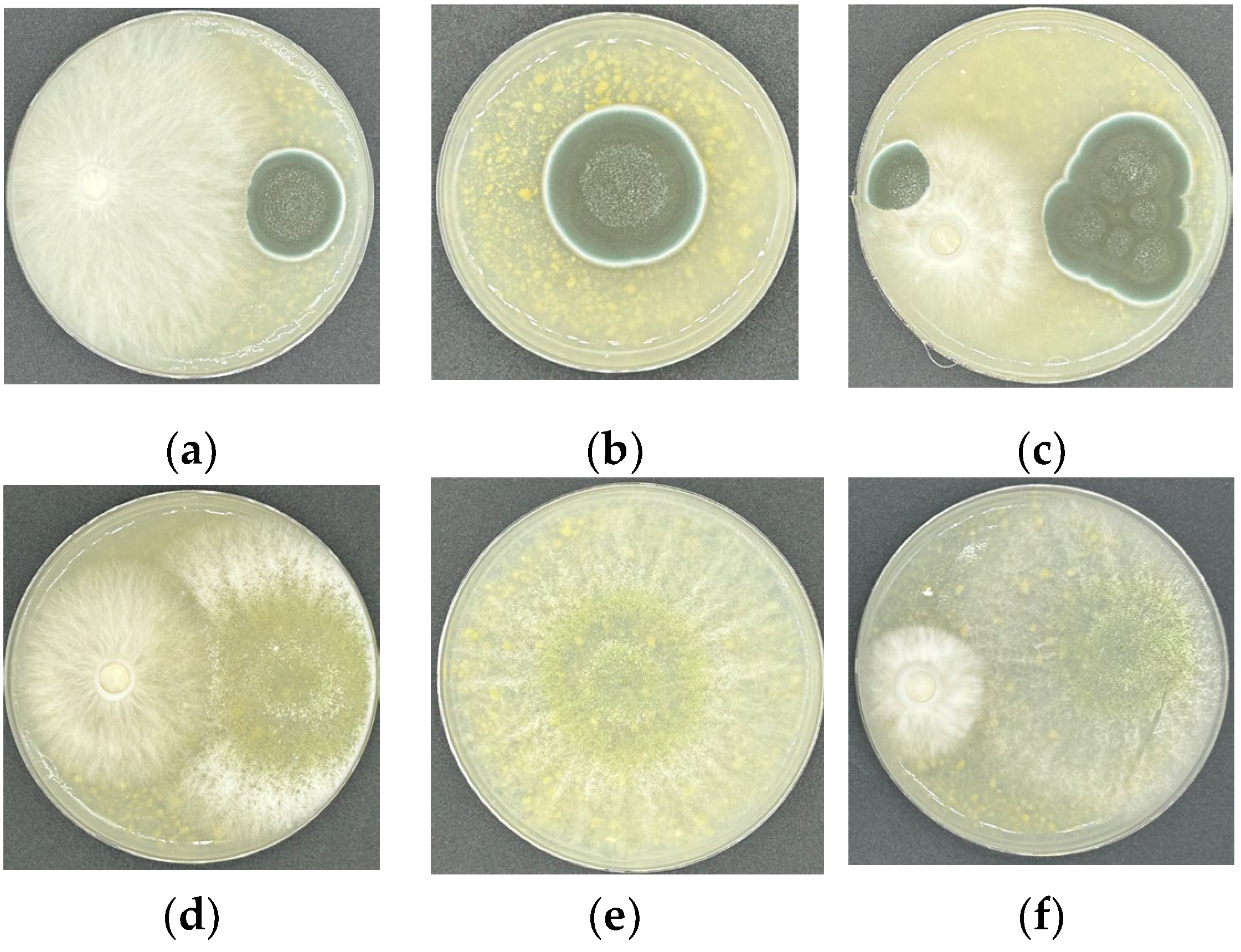 Agriculture 15 01045 g006