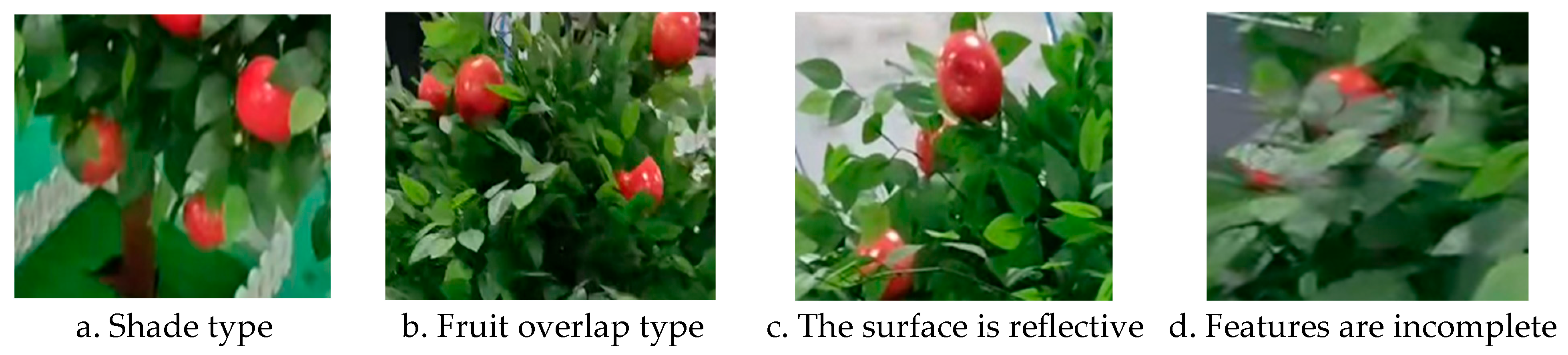 Agriculture 15 01508 g011