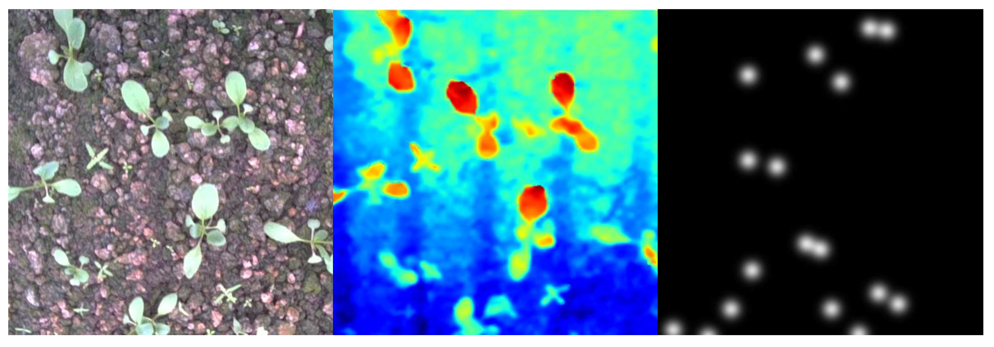 Agriculture 15 01854 g010 Agriculture 15 01854 g010