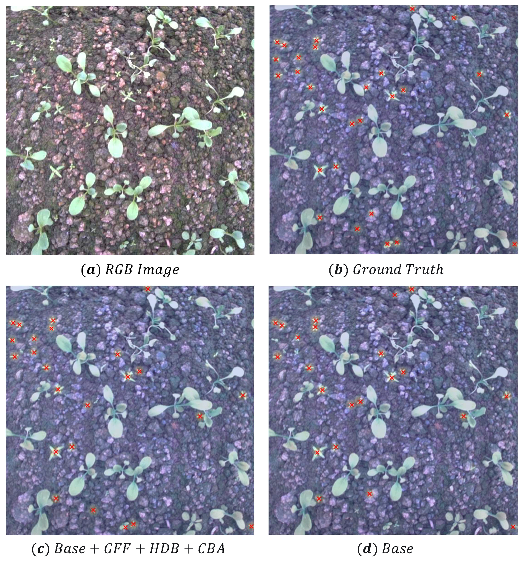 Agriculture 15 01854 g015 Agriculture 15 01854 g015