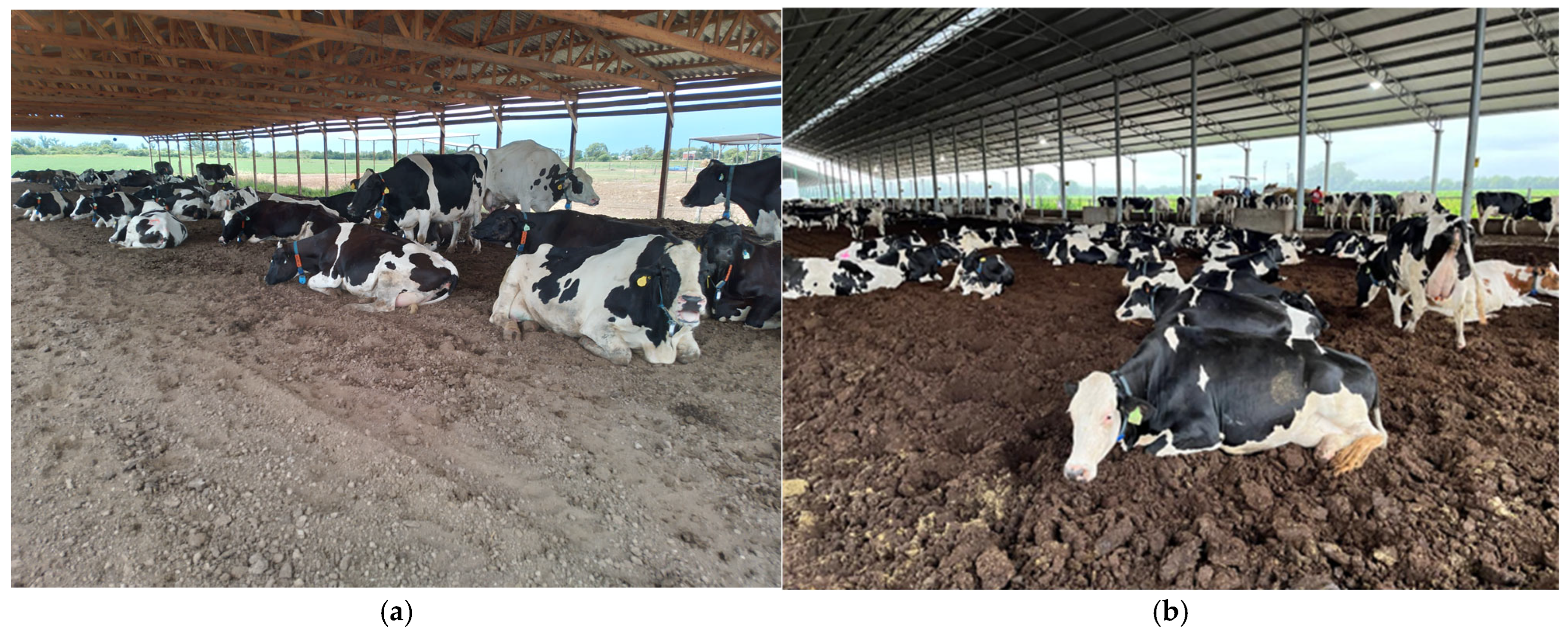 Agriculture 15 01998 g001 Agriculture 15 01998 g001