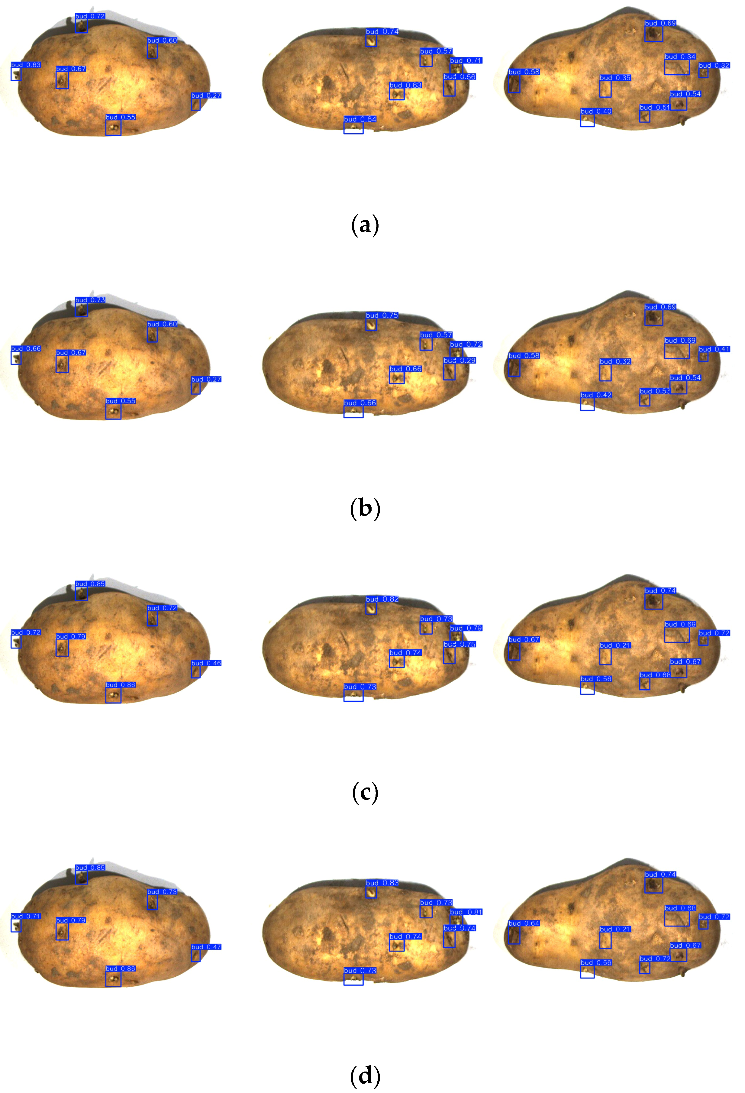 Agriculture 15 02066 g011 Agriculture 15 02066 g011
