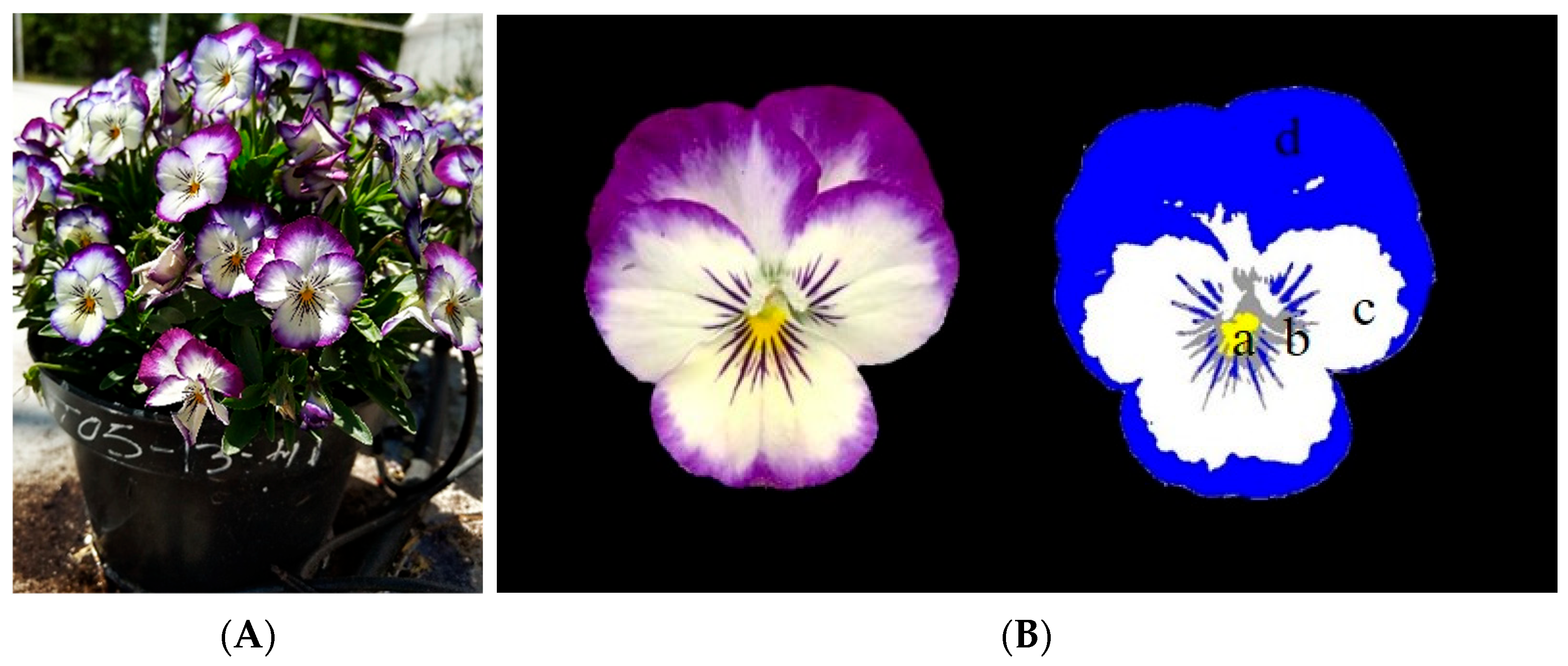 Agriculture 15 02187 g001 Agriculture 15 02187 g001