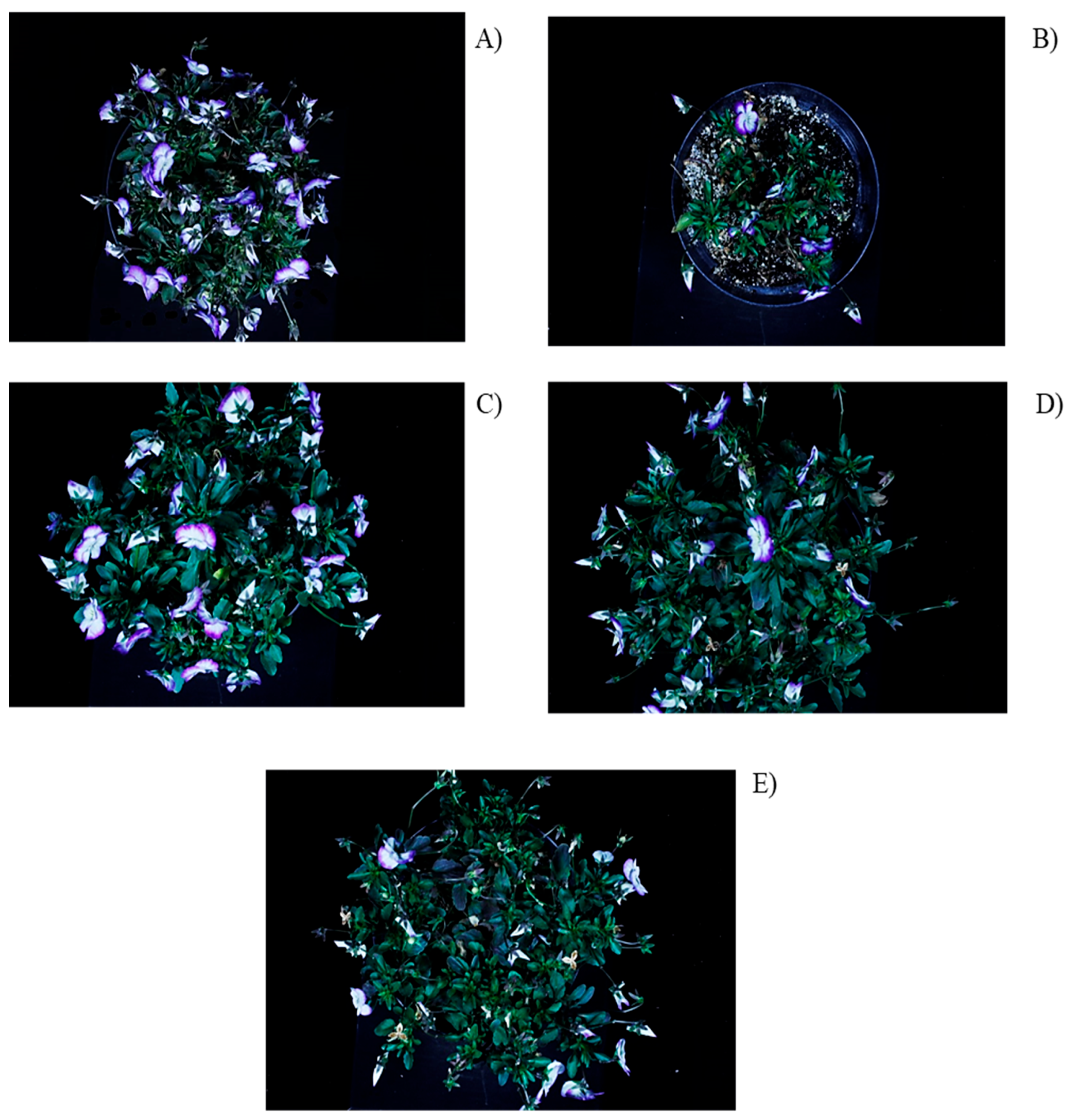 Agriculture 15 02187 g004 Agriculture 15 02187 g004