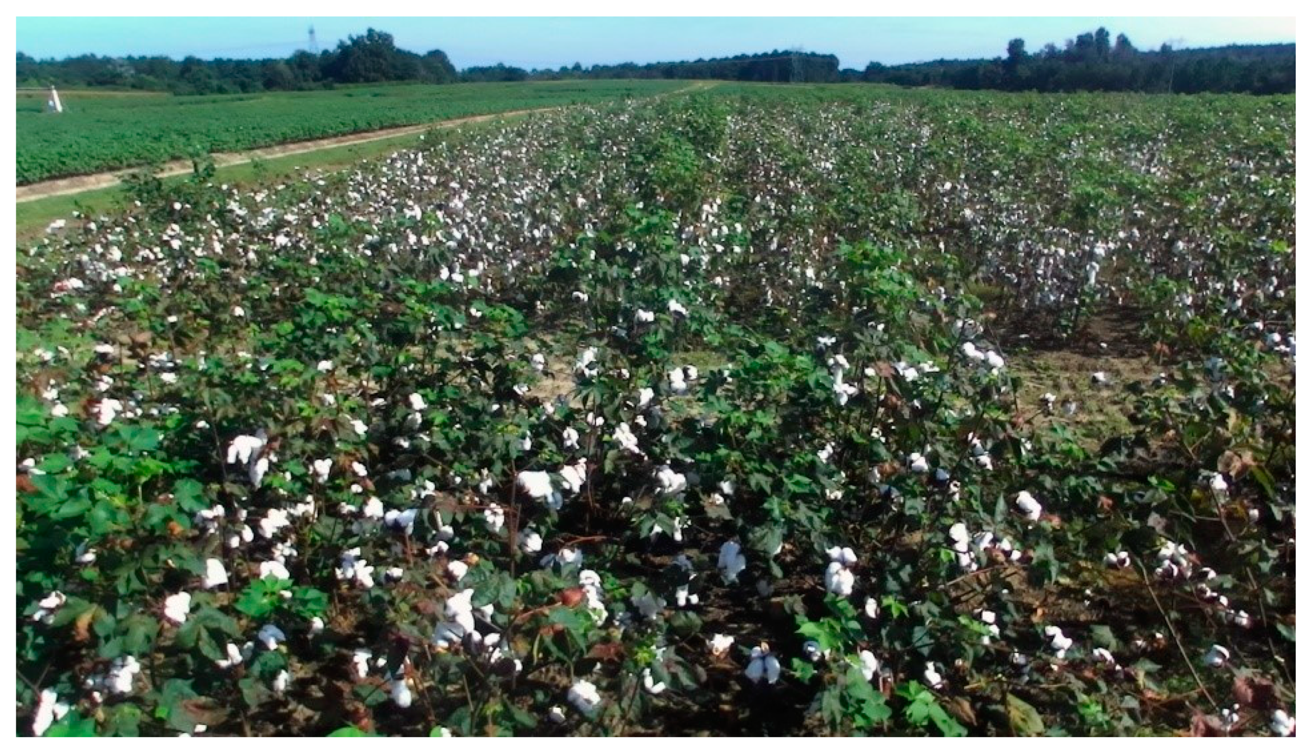 Agriengineering 02 00010 g005